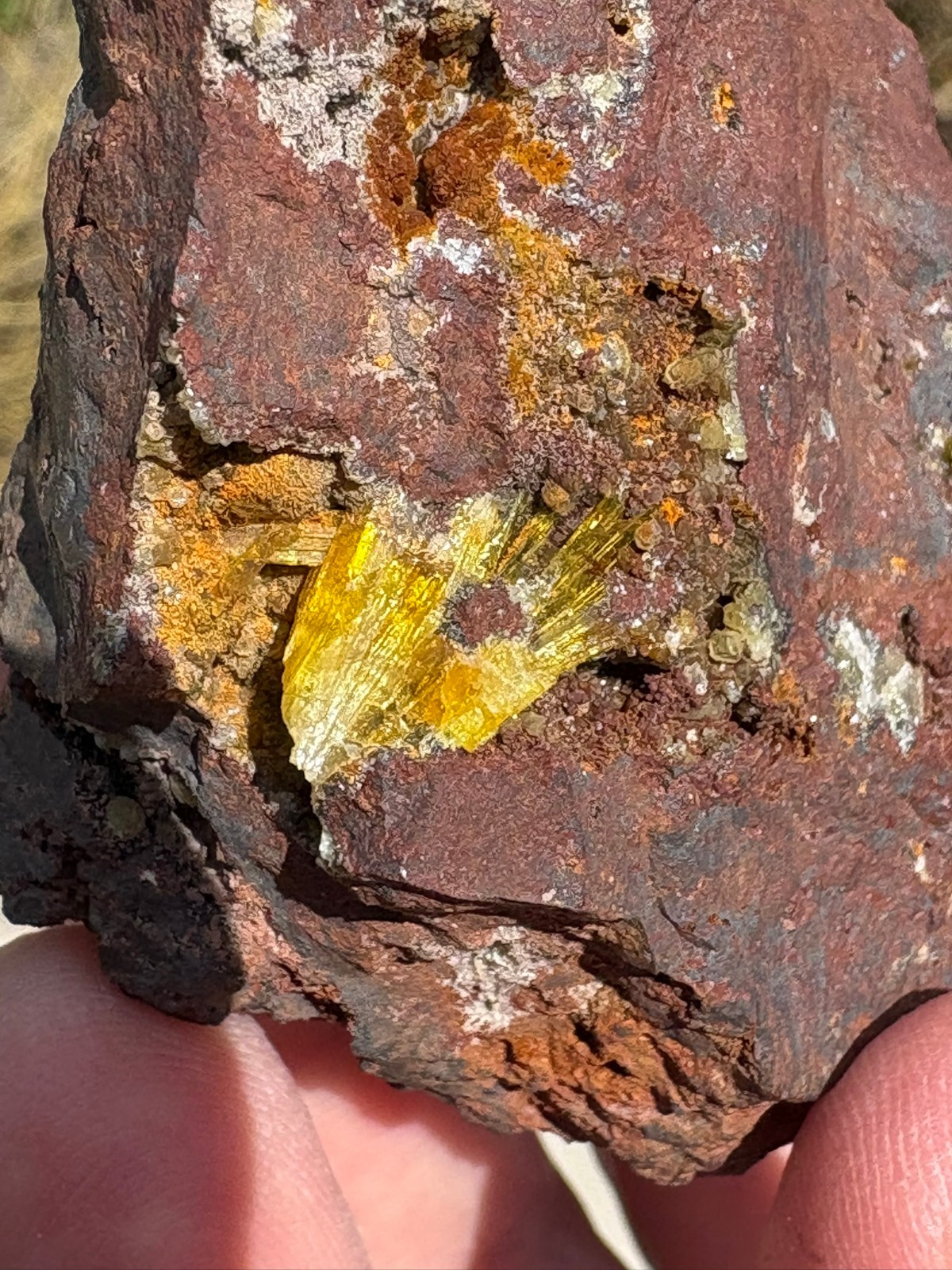 Legrandite crystal spray in matrix, Ojuela mine, Mapimi, Durango, Mexico