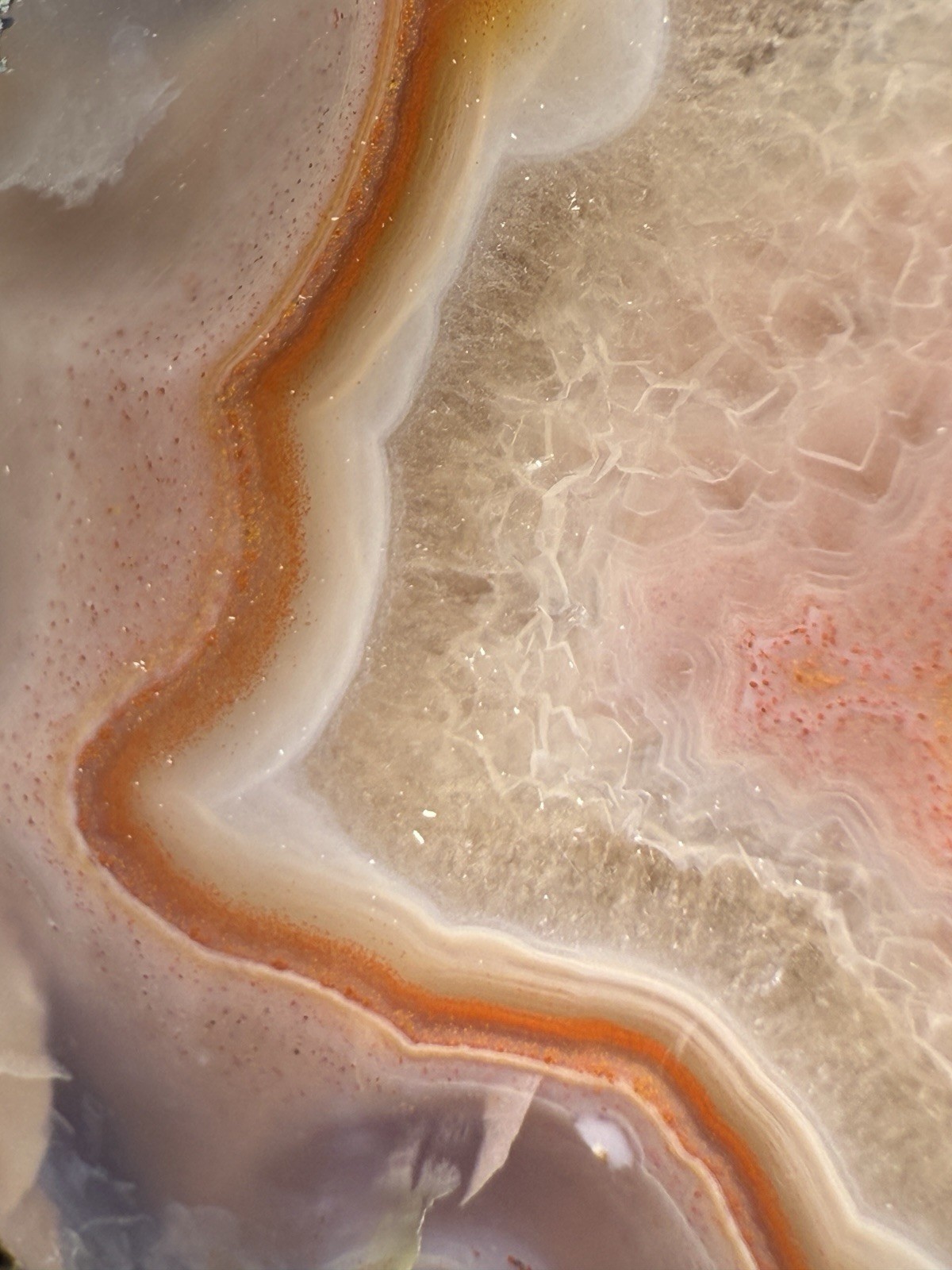 SEE VIDEO High-Grade Multicolor Moroccan Agate | High Atlas | Collector Specimen