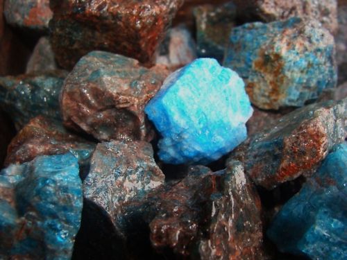 2000 Carat Lots of Unsearched Natural Apatite Rough + a FREE Faceted Gemstone