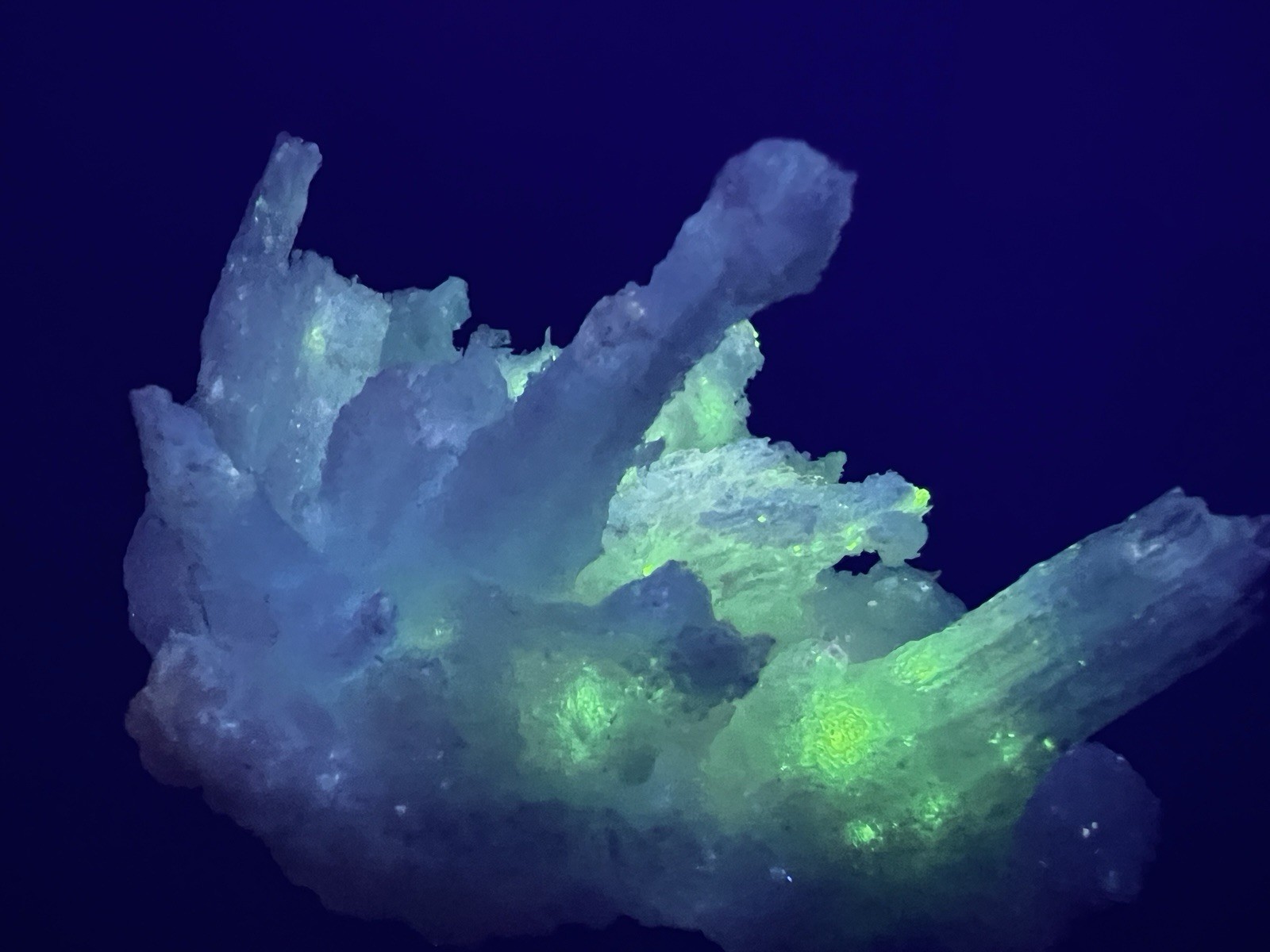 Fluorescent White Gypsum Selenite Buena Tierra Mine, Santa Eulalia, Mex. 218g.