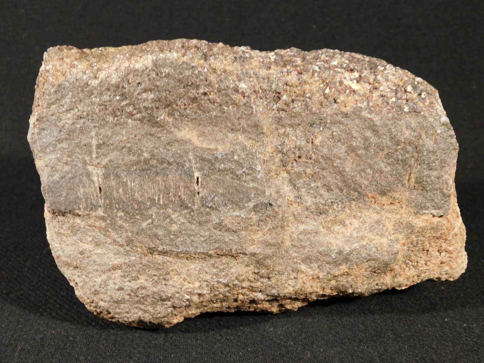 Big! Petrified Wood Fossil With SMOKY Quartz CRYSTALS Utah 2362gr