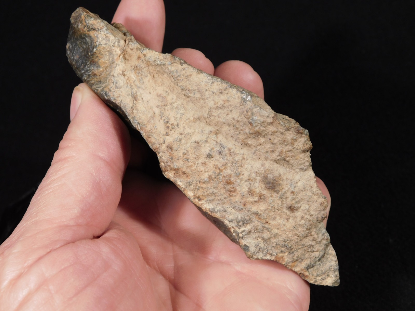 Classified NWA 8245 METEORITE Dark Crust and Regmaglypts! Erfoud, Morocco 298gr