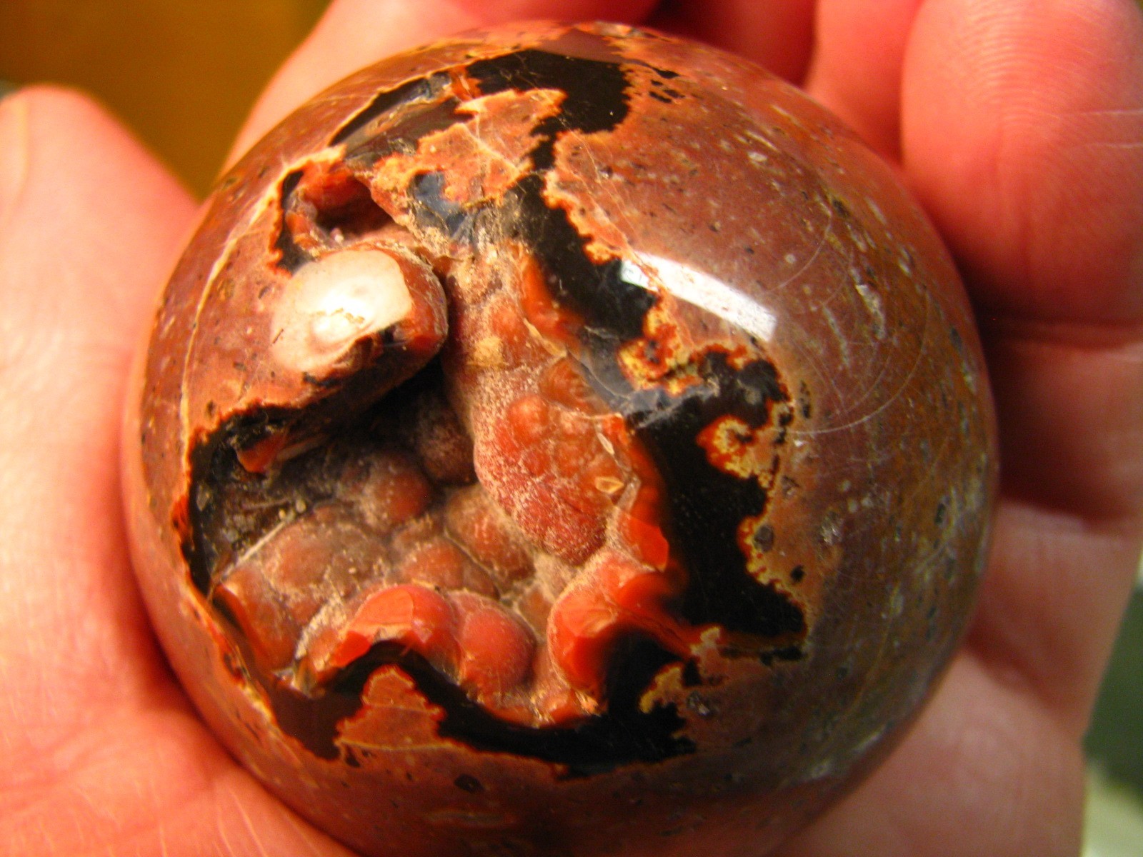 .43lb 2.15inch JASPER SPHERE RED & BLACK CHALCEDONY W/WOOD STAND MADAGASCAR #247
