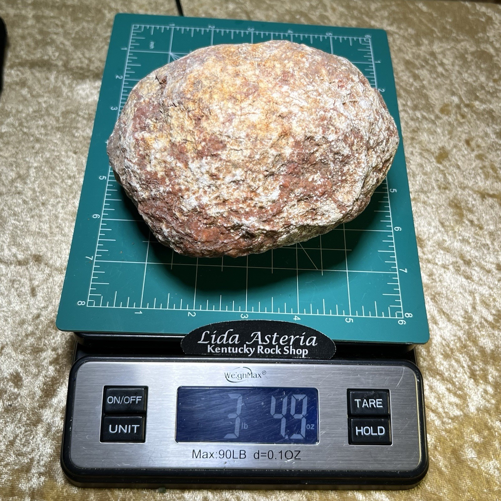 5-3/4″ Large Red Geode Uncut Unopened Crystal Chalcedony Quartz Rough 3.5Lb