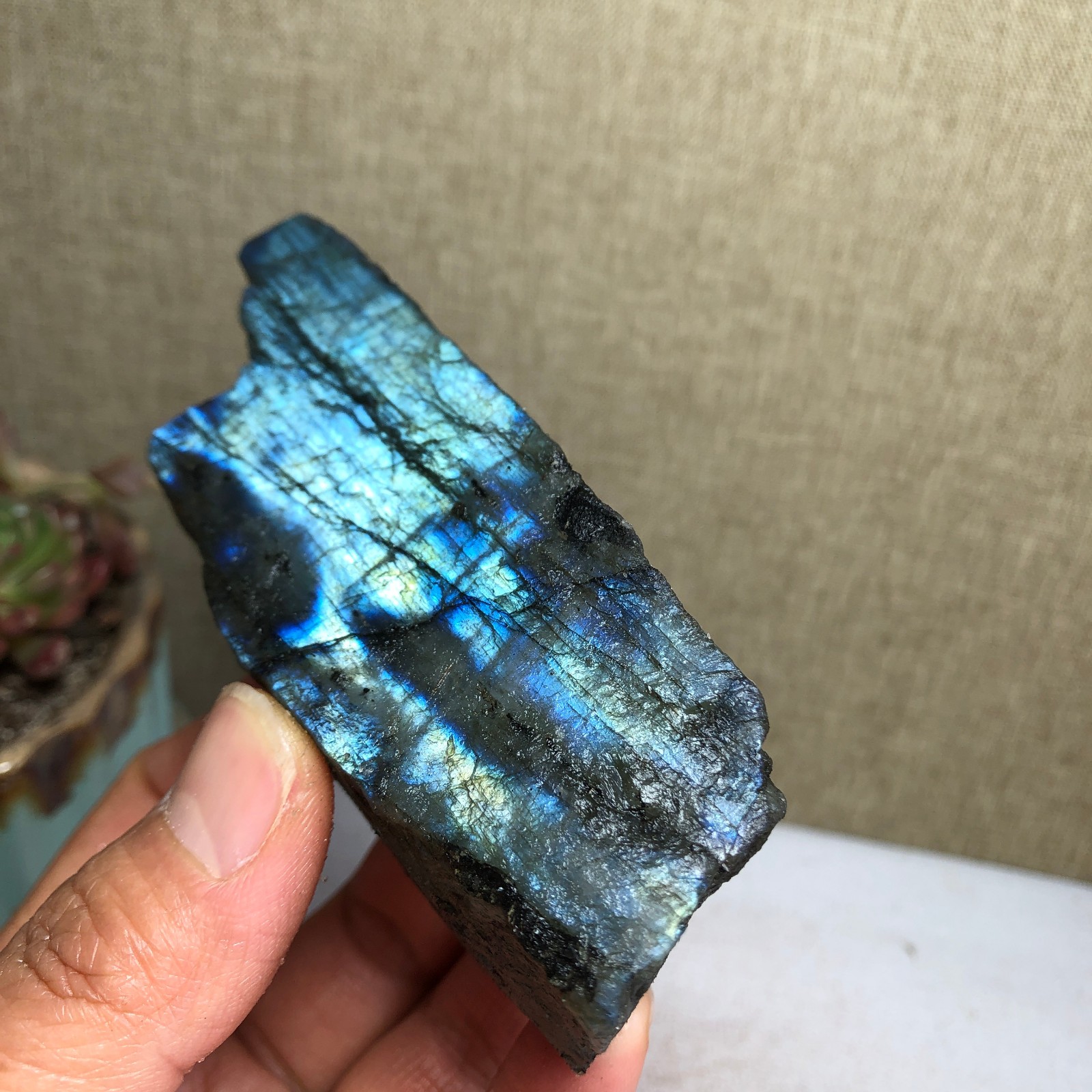 92-34-36mm Natural Labradorite Crystal gemstone Rough Mineral Specimen A4418