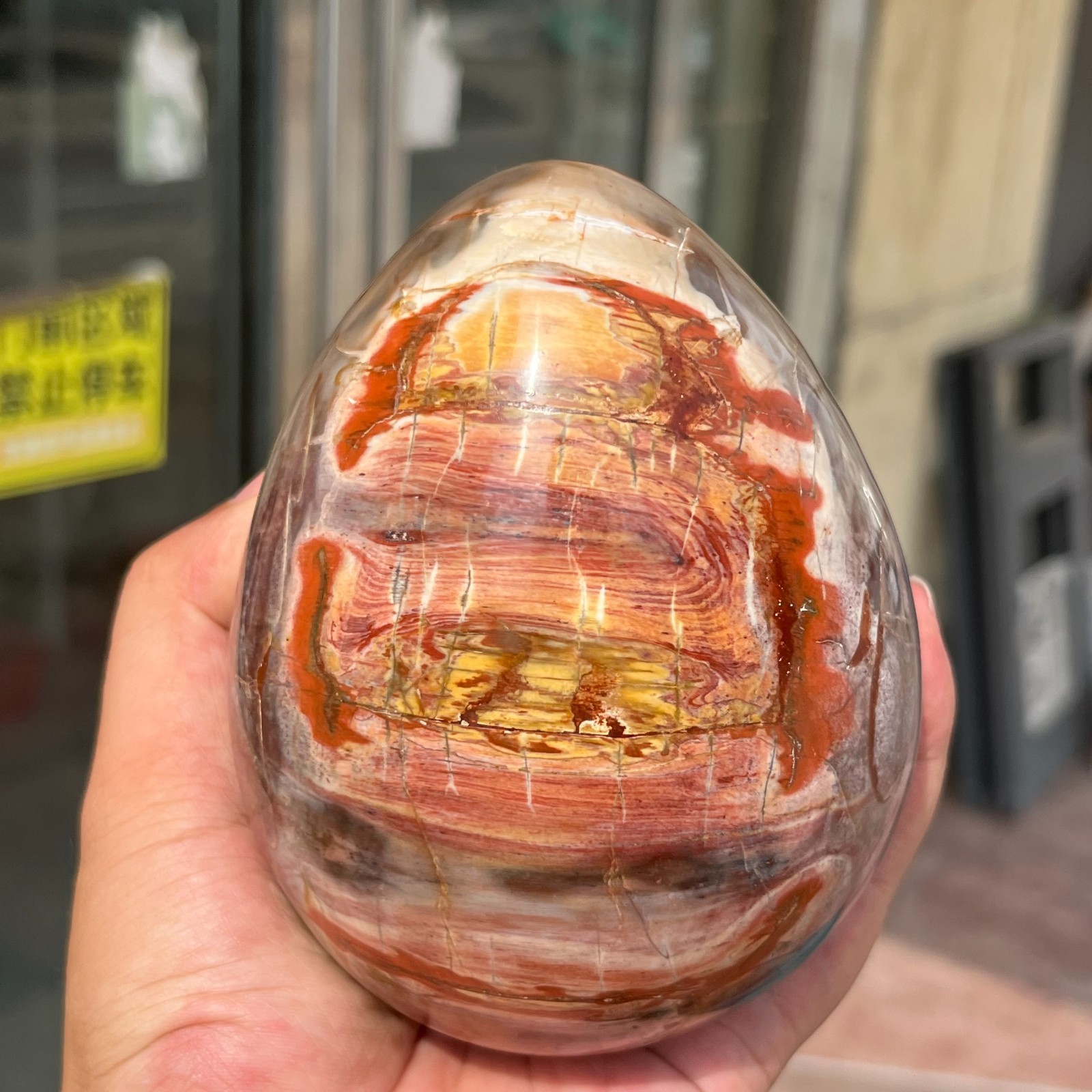 3.28LB Large Amazing Natural Petrified Wood Fossil Stone Egg Crystal Healing