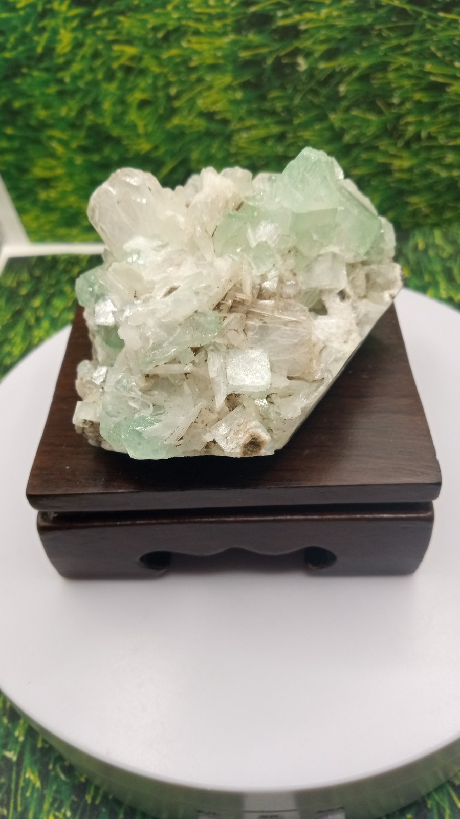 Green Fluorapophyllite w/ Apophyllite & Stilbite / Cherry Wood Stand ~ INDIA ~