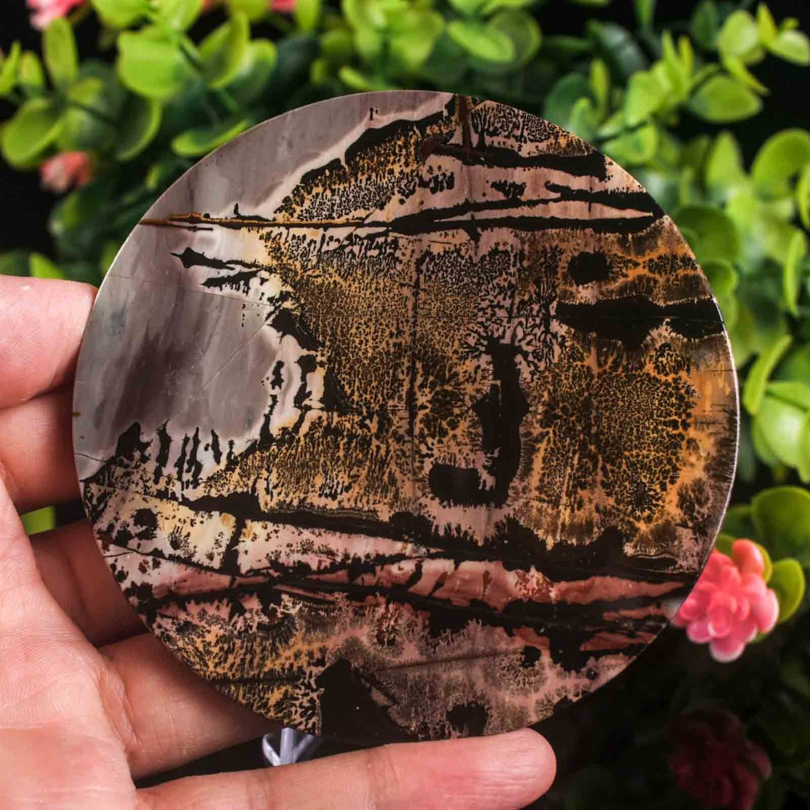 Picture Jasper Slab Natural Stone Display Crystal Specimen w/Stand 3.7″ 4.4oz