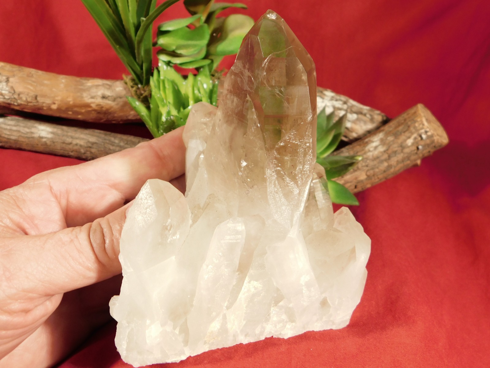 BIG! Free Standing! SMOKY Quartz Crystal Cluster From Brazil 792gr