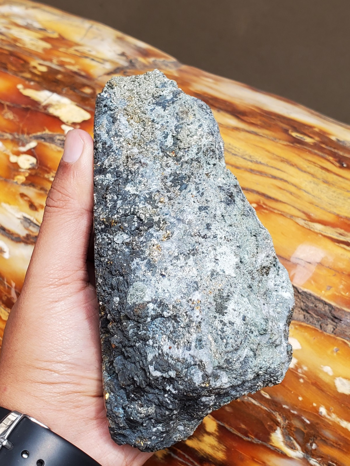 1469G Top Raw Sphalarite ,Chalcopyrite Peacock Partly Polished Specimen