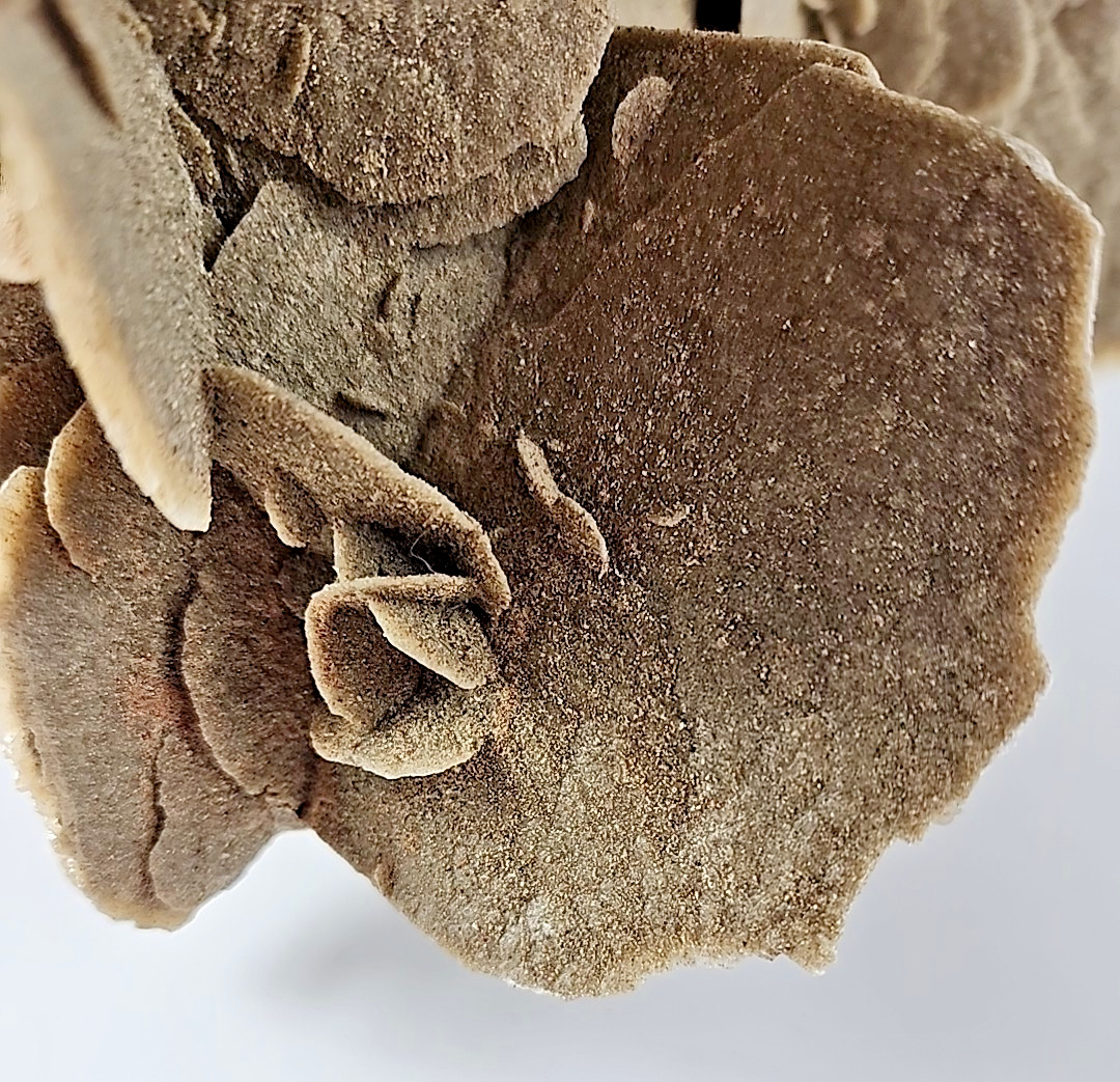 6 LB 7 OZ 2.94 kg Selenite Desert Rose Gypsum Minerals Crystals
