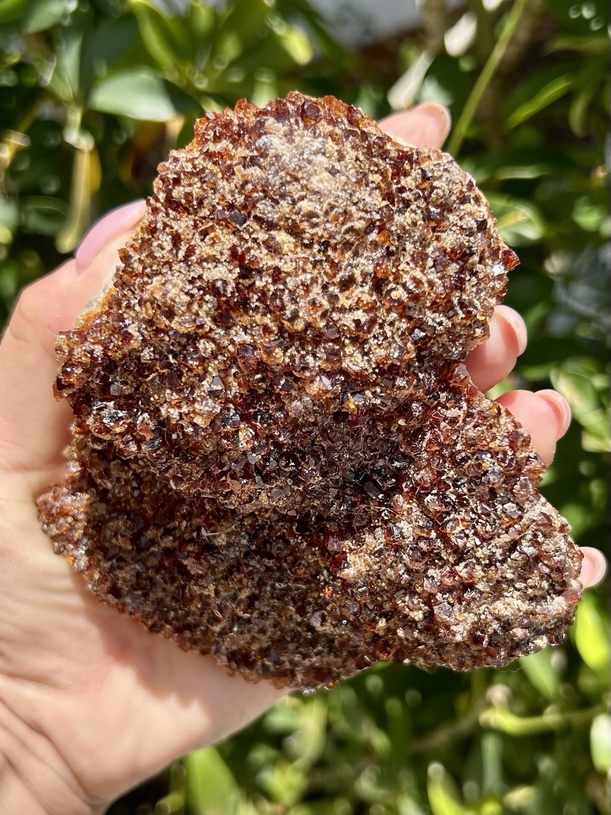 Natural Citrine Crystal Cluster – Sparkling Druzy Honey Quartz Specimen