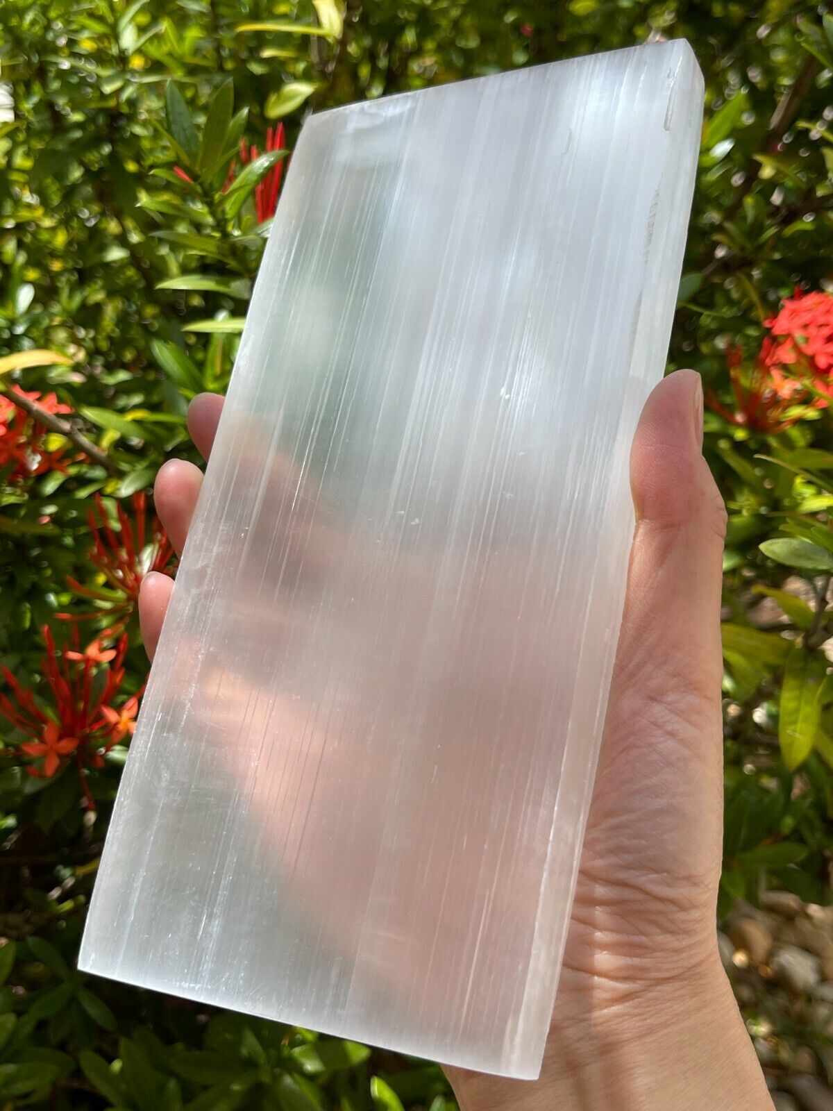 Large Selenite Charging Plate -8×4 Inch Polished Selenite Slab, Selenite Tile