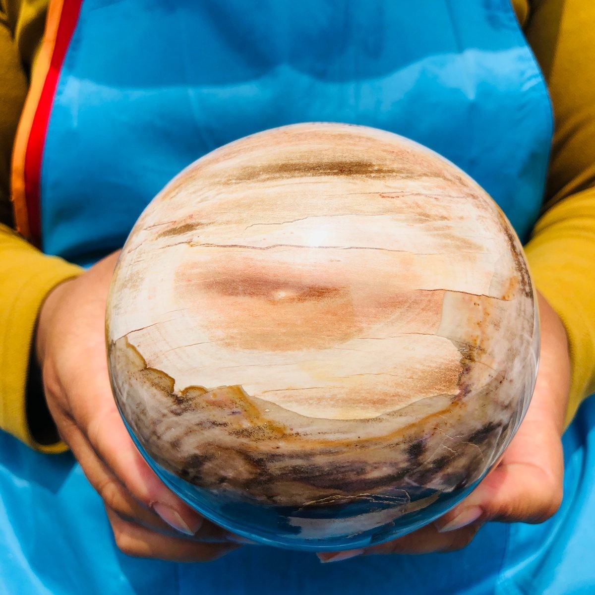 4.59LB Natural Petrified Wood Sphere Polished Crystal Ball reiki healing