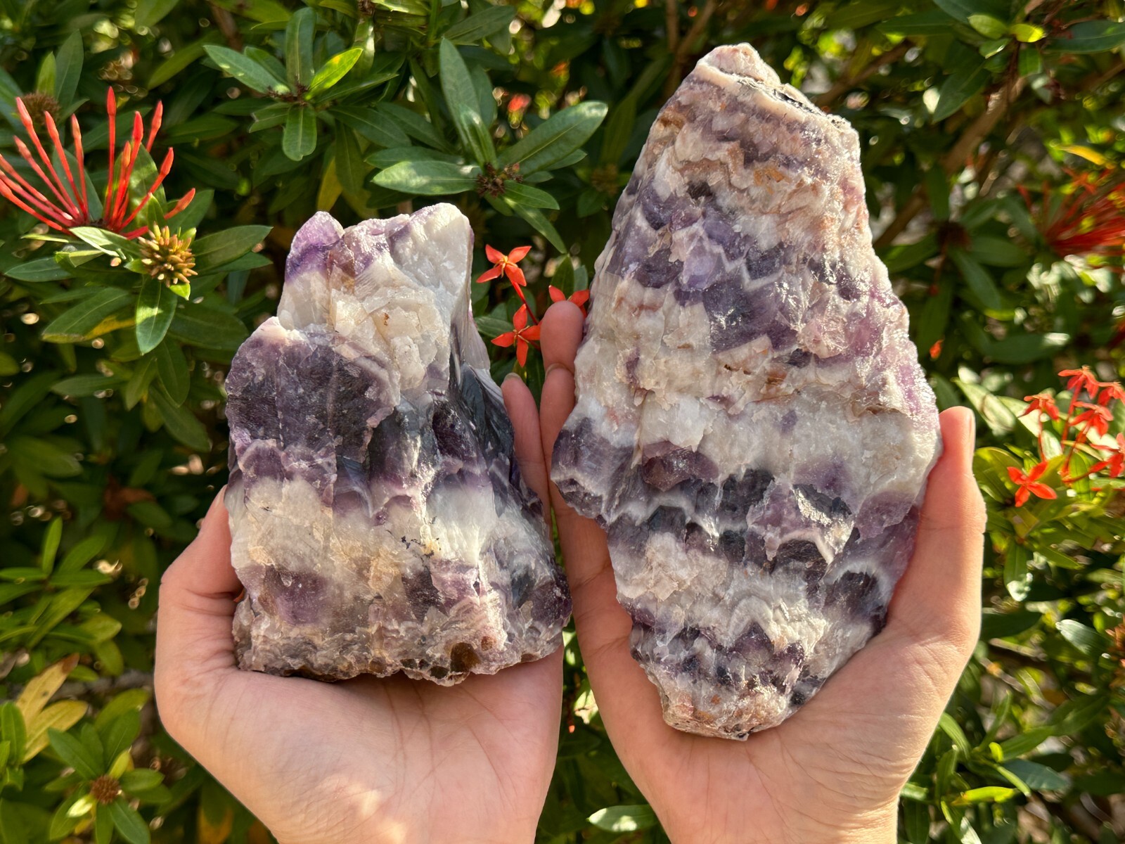 Extra Large Chevron Amethyst Rough Stone, 2″- 7″ Raw Chevron Amethyst Crystals