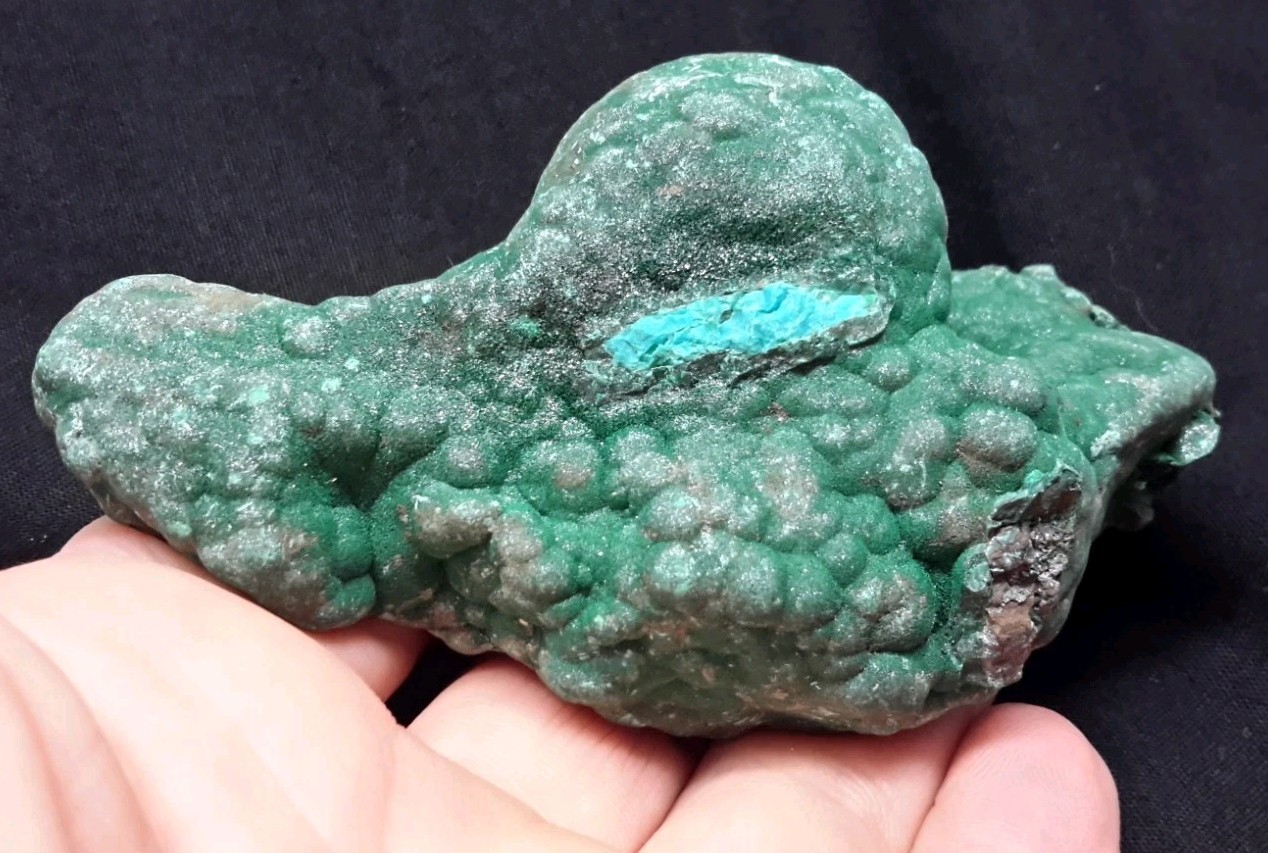 3.75″ MALACHITE with CHRYSOCOLLA from the Democratic Republic of Congo