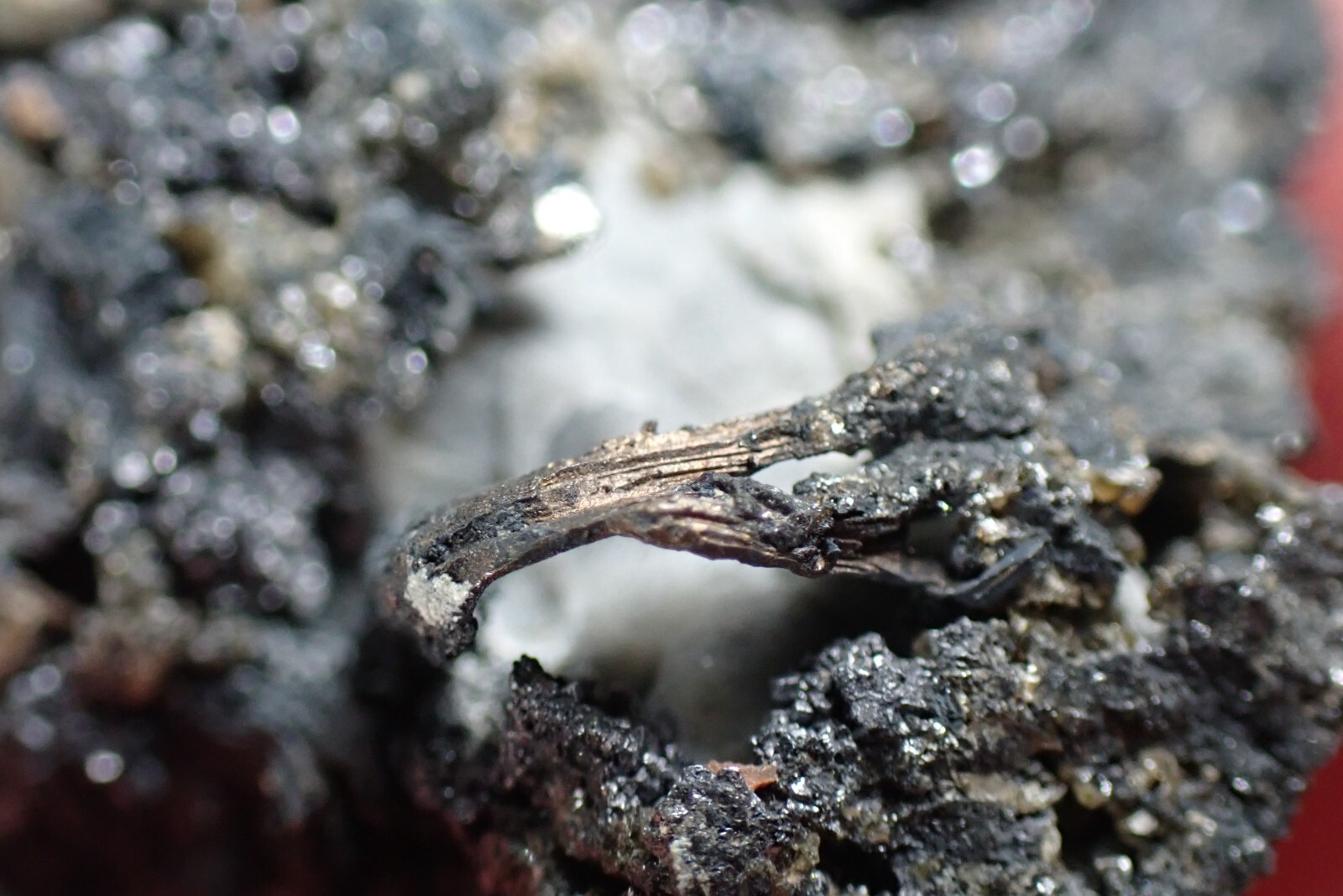 SILVER * WIRES ON CALCITE + GALENA * RARE LOCALITY !!! Trebsko, CZECH REPUBLIC