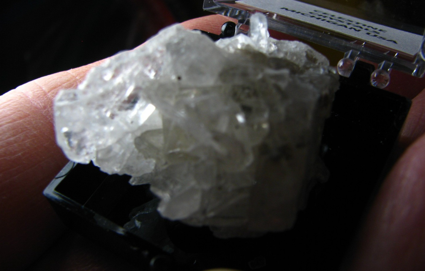 CLEAR/OPAQUE WHITE CELESTINE CRYSTALS MINIATURE IN CASE MICHIGAN USA #066