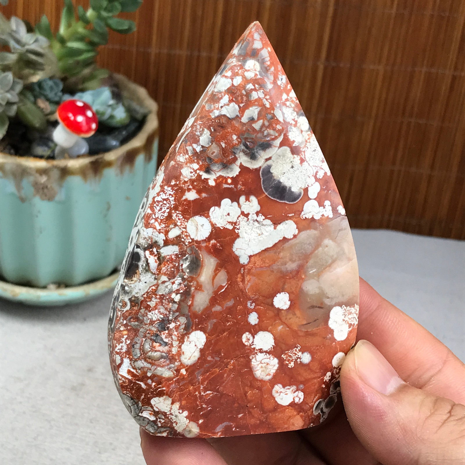 Natural money Mexico agate hand carve leaf Crystal Specimen free standing A6266