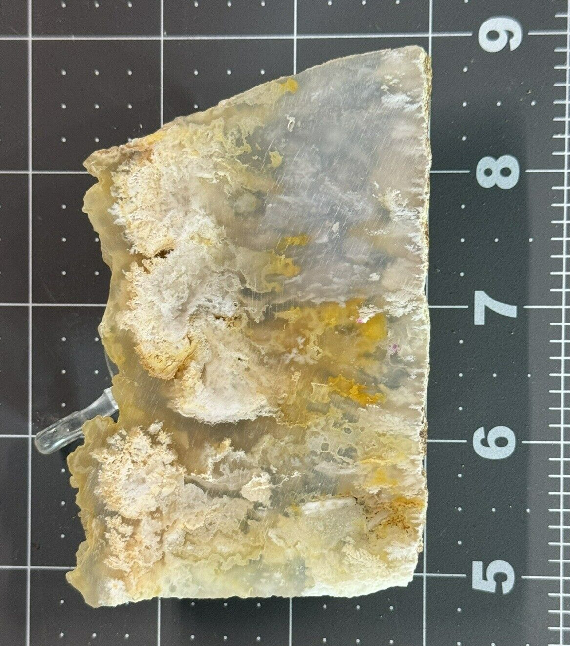 Graveyard Point Plume Agate Polished Display – Collectors Slab