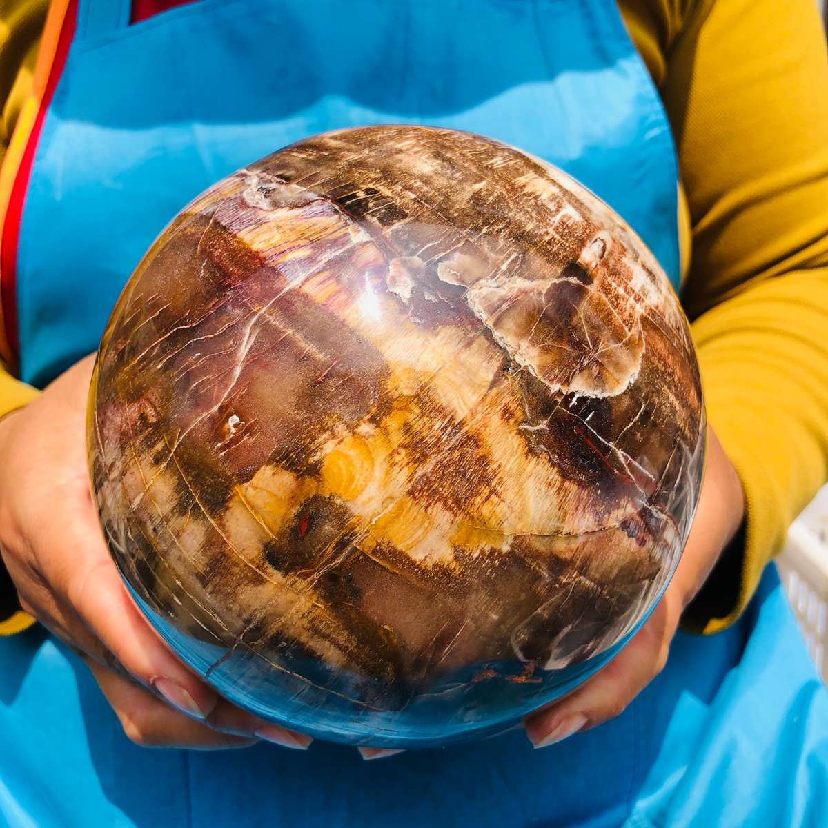 8.18LB Rare Natural Petrified Wood Ball Crystal Quartz Mineral Healing 4698
