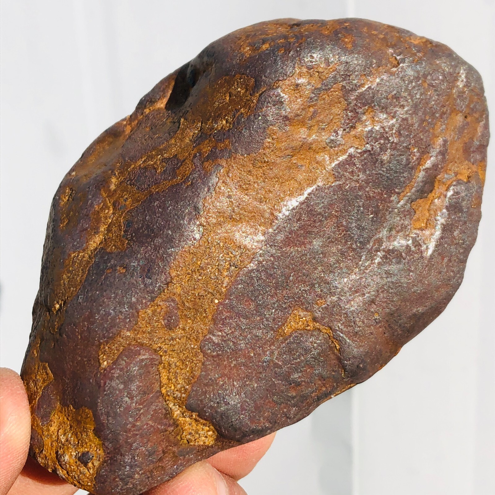1.62lb STONY IRON H CHONDRITE METEORITE Polished Carved Space Rock Specimen