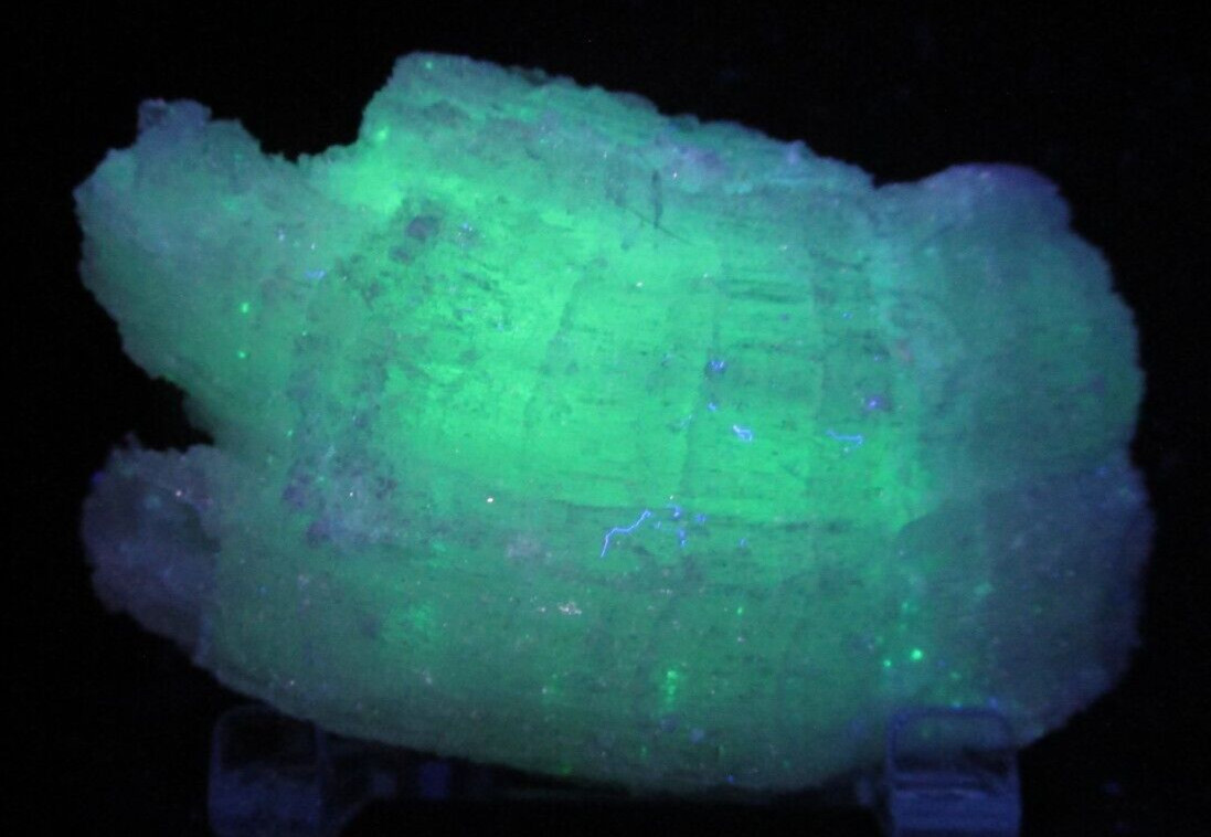 Fluorescent Starry Night Selenite Gypsum Novacekite Inclusions Chihuahua Mexico