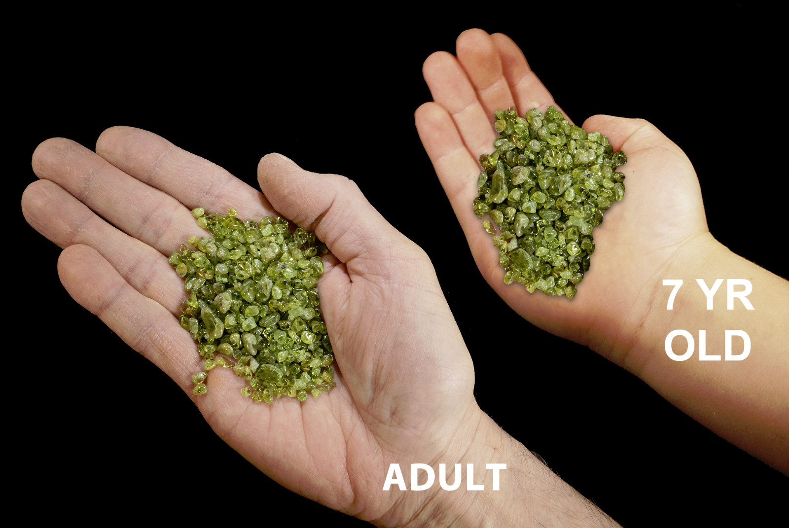 Peridot Crystals 1/4″ 2 Ounces AAA Heart Chakra Healing Crystals and Stones