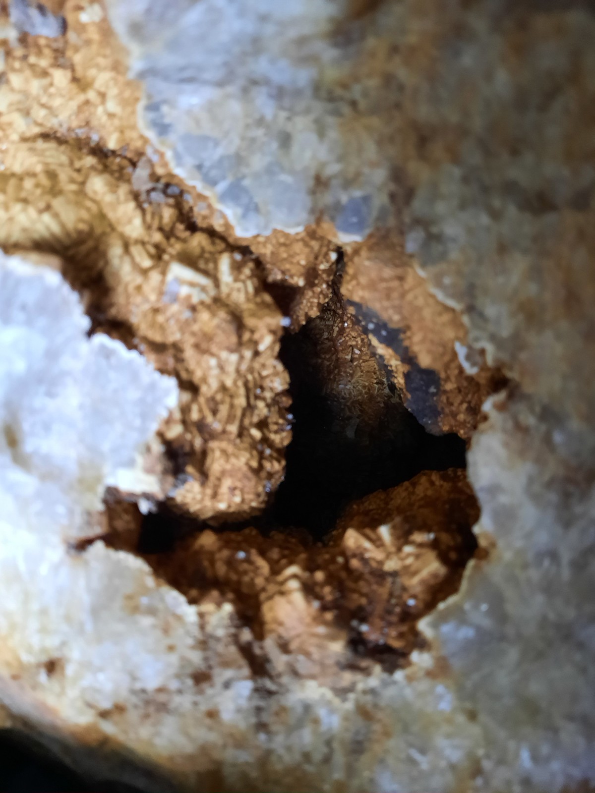 Giant Brown Calcite Geode with Crinoid Fossils. Southern KY. 9X8X8″, 17.2 LBS