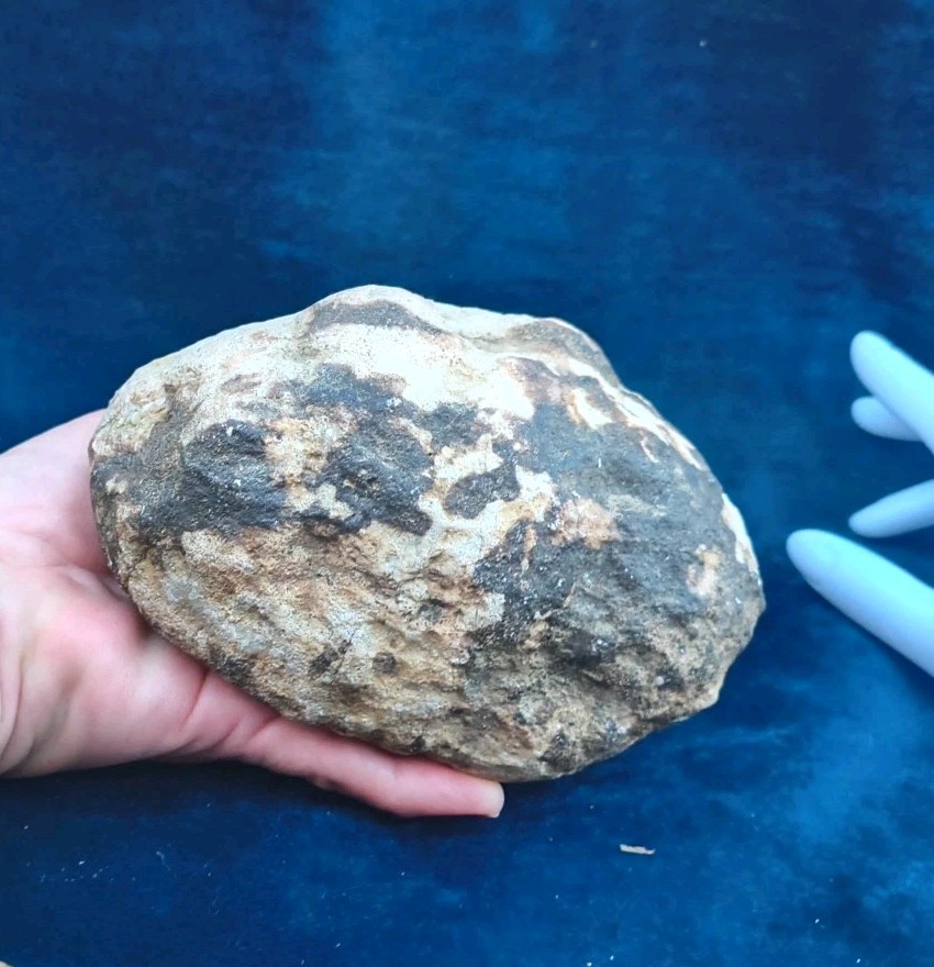 Large Kentucky Geode 3–5 inch – Crack Open Giant Quartz Crystal Rock – Authentic
