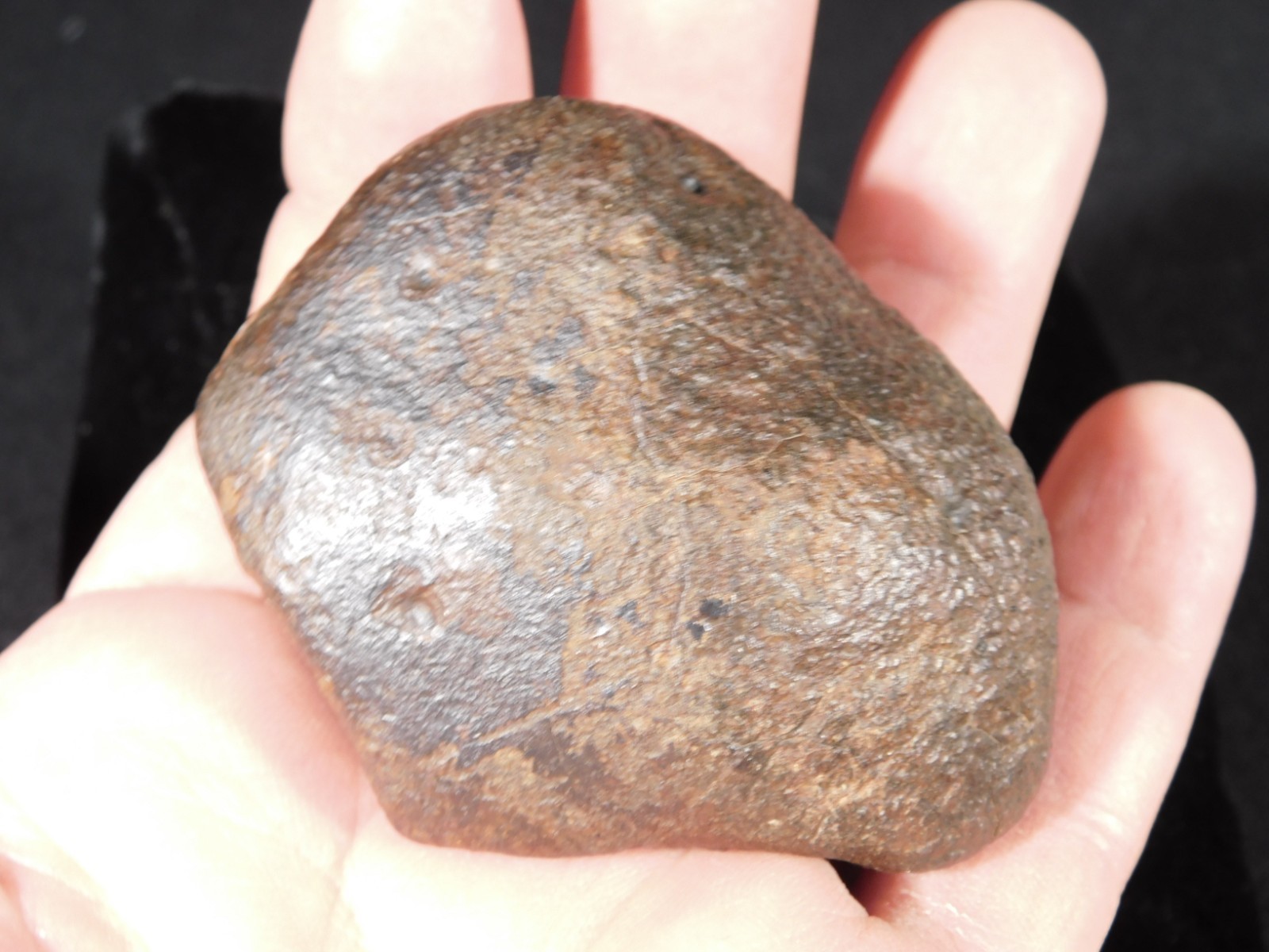 Nice! and 100% Natural Stony METEORITE FELL in Libya 181gr