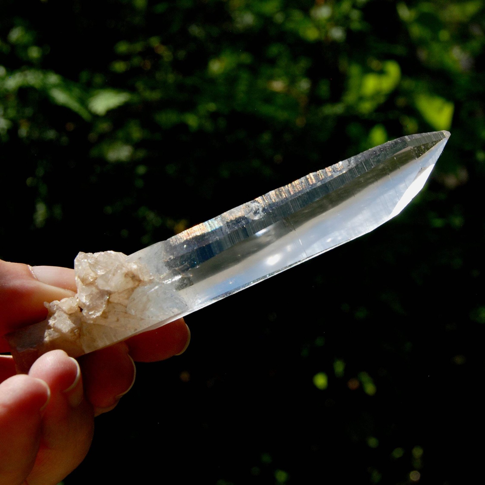 4.5in 55g Lemurian Seed Quartz Crystal Laser, Colombia