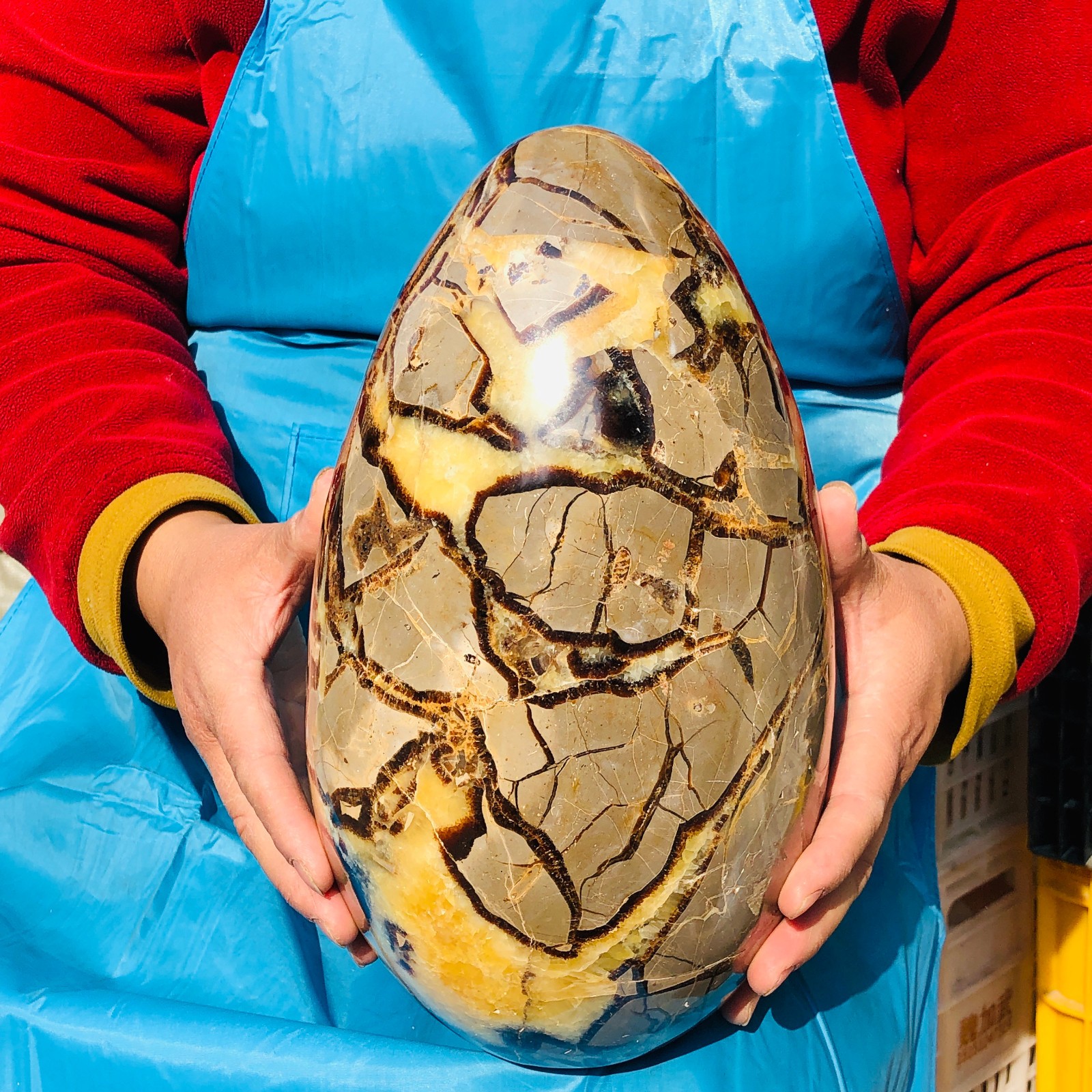 10kg Natural Dragon Septarian egg Quartz Crystal decoration