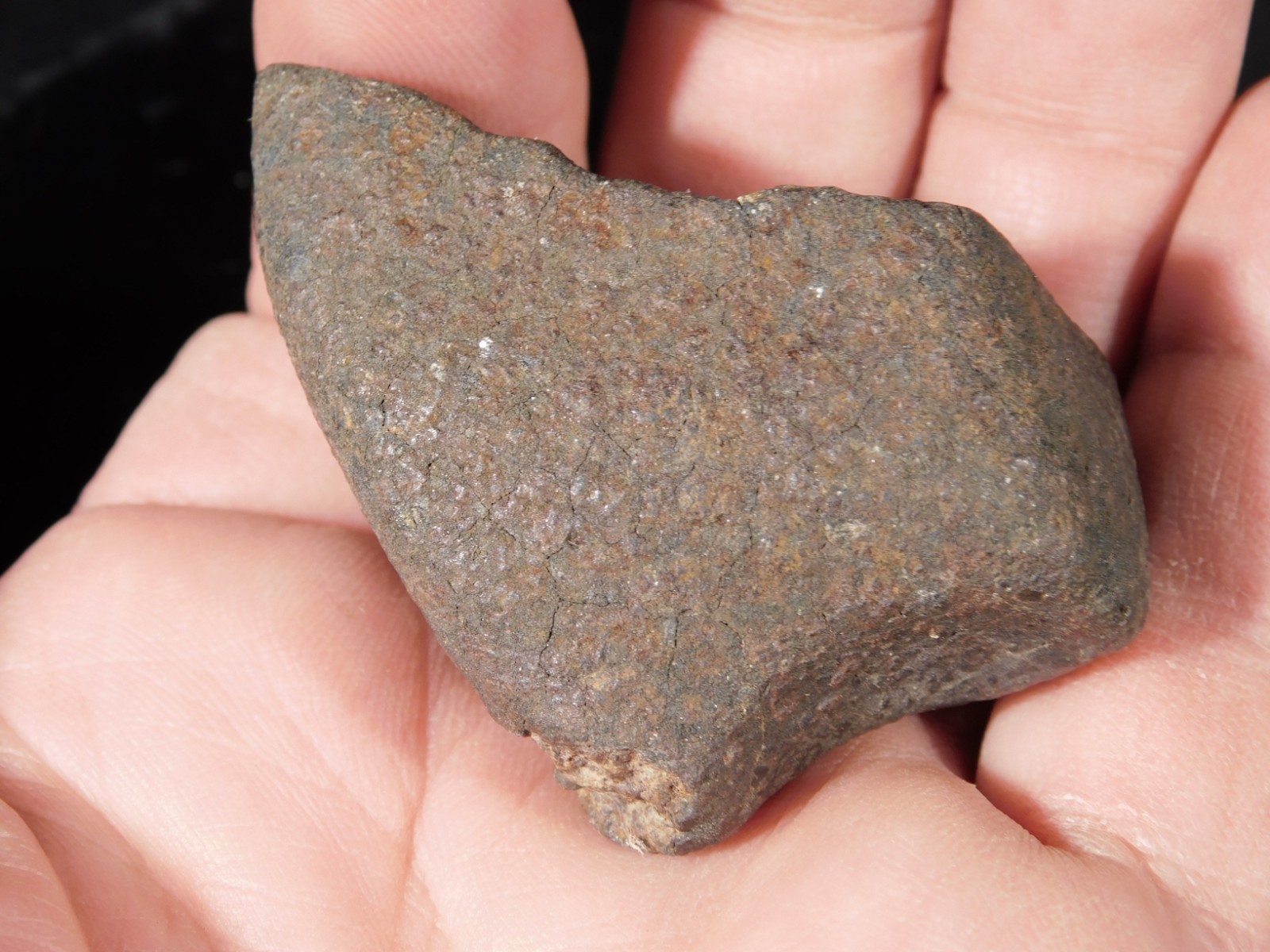 Stony N.W.A. METEORITE 100% Natural FELL in Libya 98.4gr