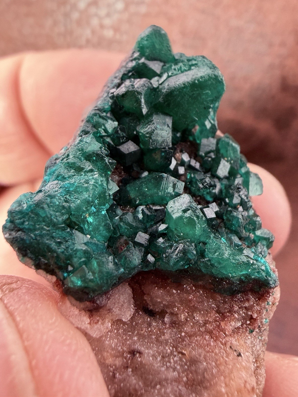 Emerald Green Dioptase Crystal Cluster from the Congo in Africa 22.6 g.