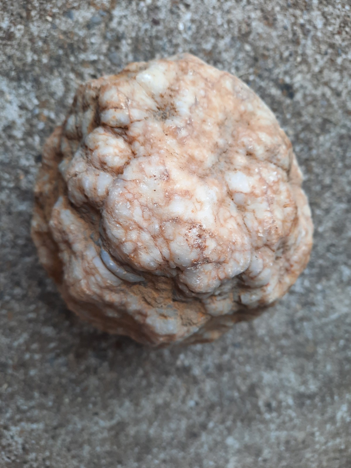 4.5″ Unopened Southern Kentucky Rattler Geode. 2.7 lbs