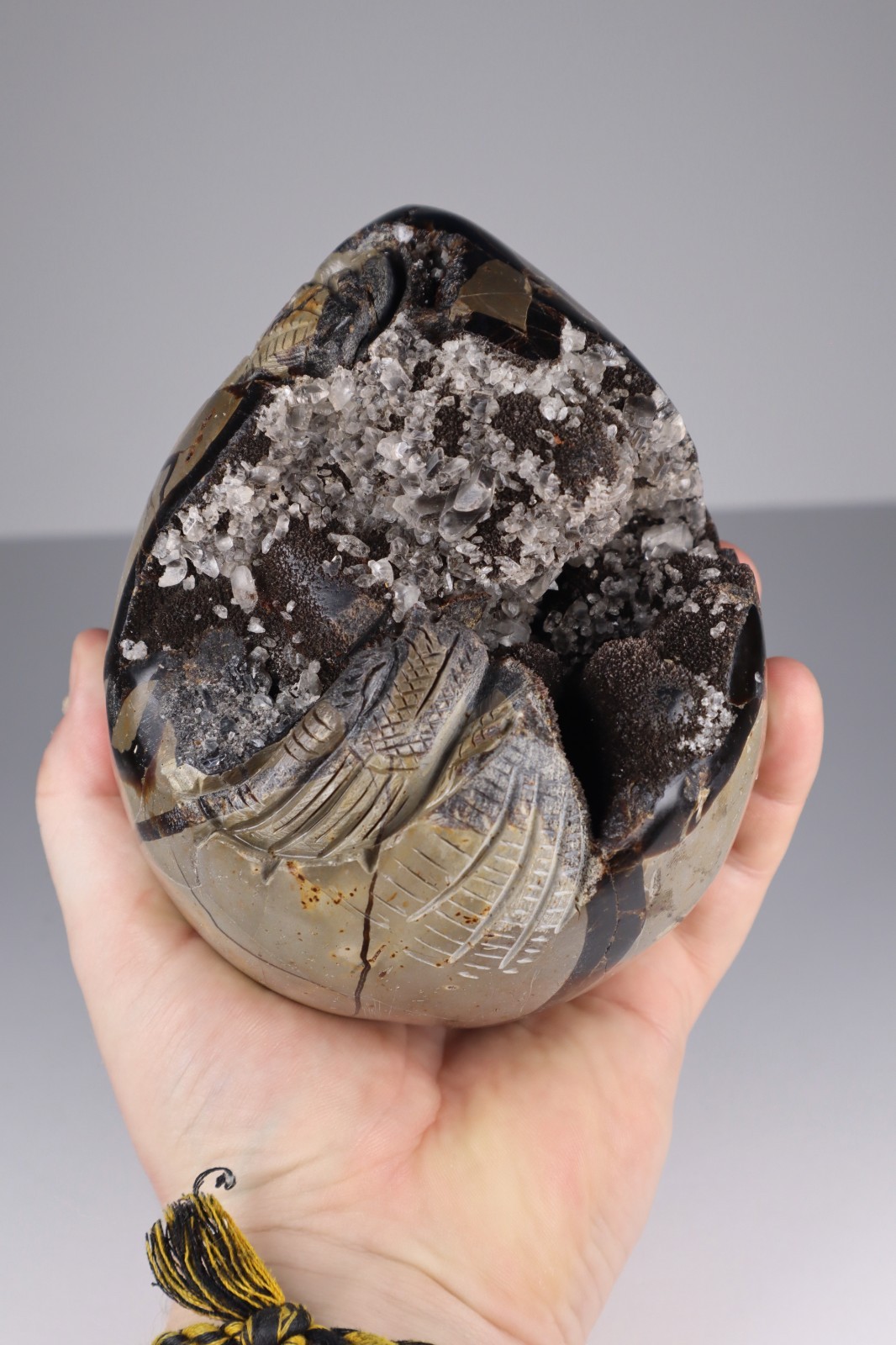 Huge Septarian Dragon Egg 4.3lb Calcite Crystal Cave Fossil Shell Display Stone