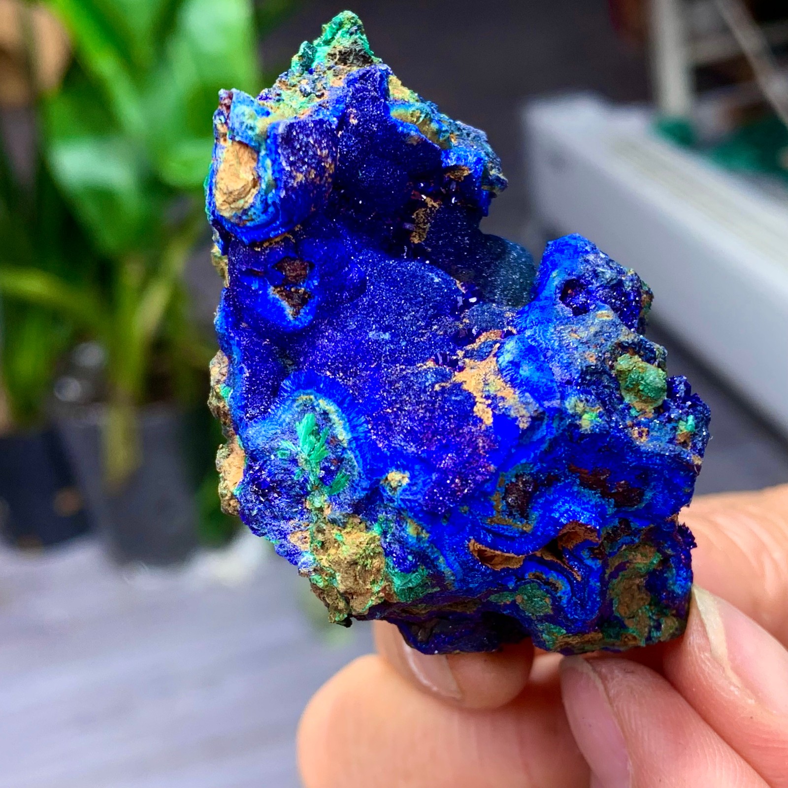 102G BEST Natural Azurite/Malachite crystal minerals specimens
