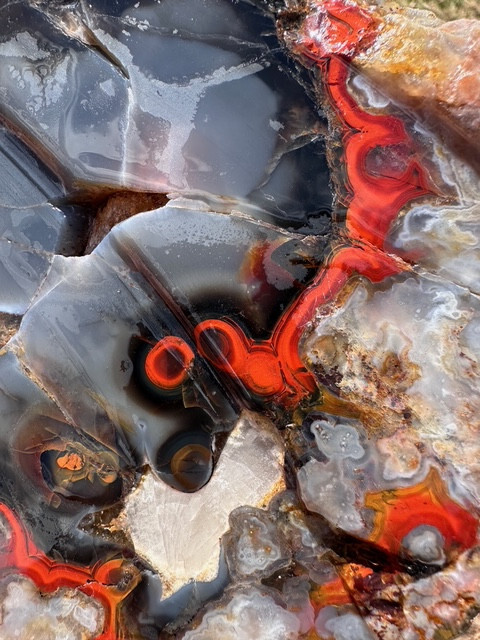 8 1/8”__Beautiful Imperial Kentucky Agate Slab from Estill County