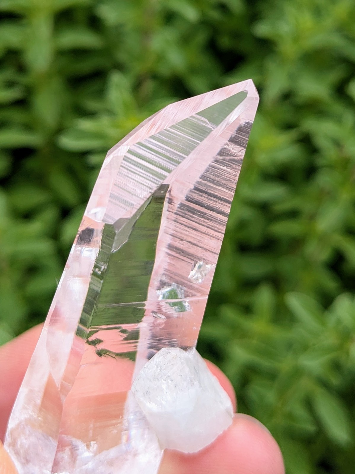 Lemurian Quartz Crystal – Penas Blancas, Colombia