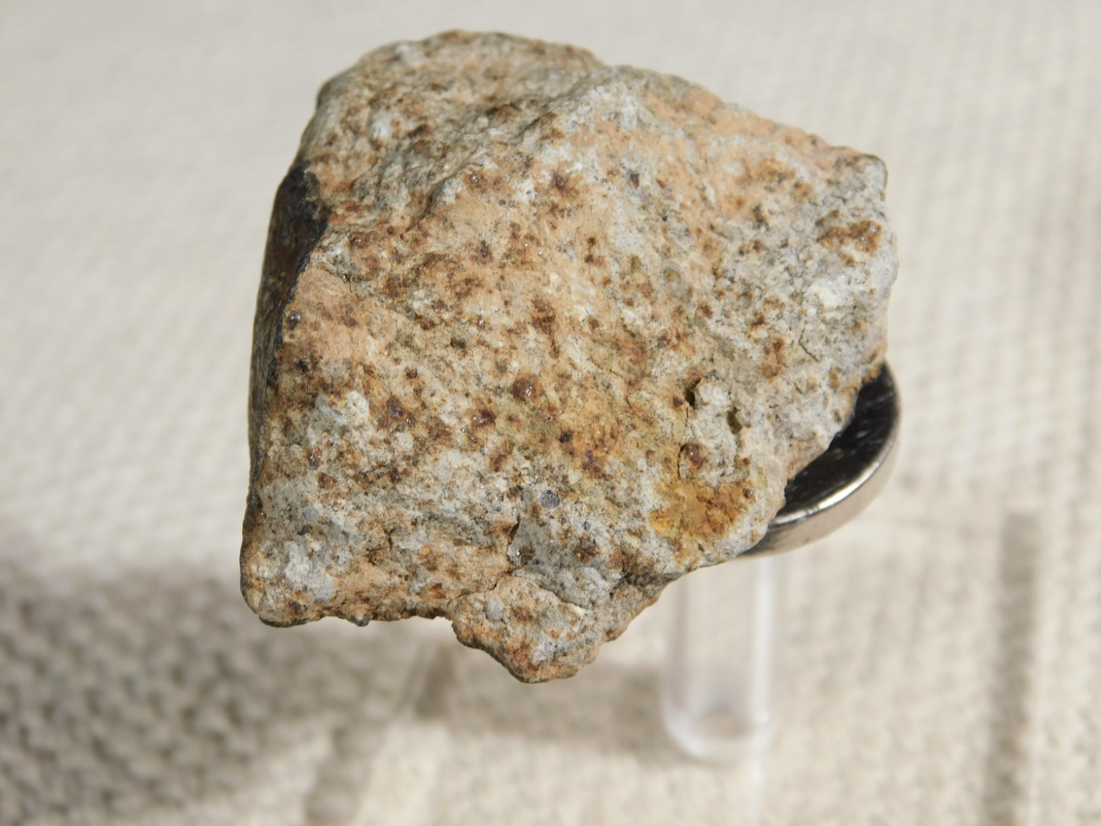 Classified NWA 8245 METEORITE 100% Natural FELL in Erfoud, Morocco 63.2gr