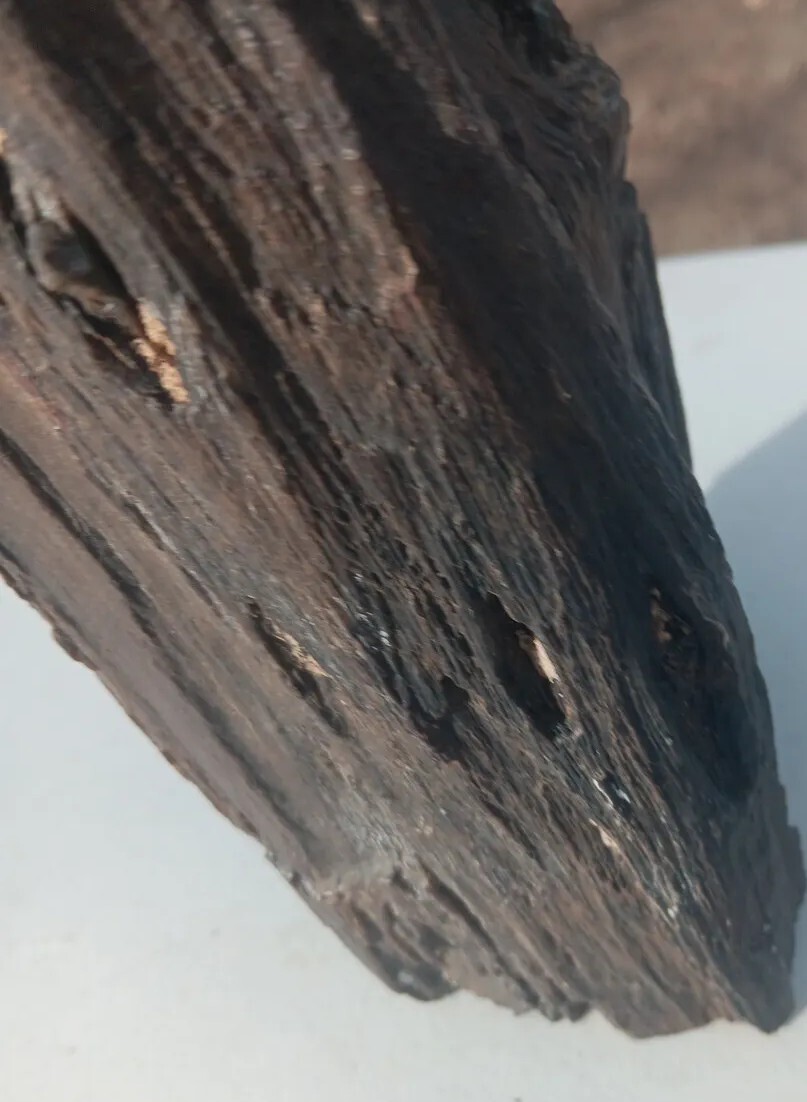 Petrified Iron Wood Fossil Tower Twistes Knots Holes Rings 10 3/4lb Display Rare