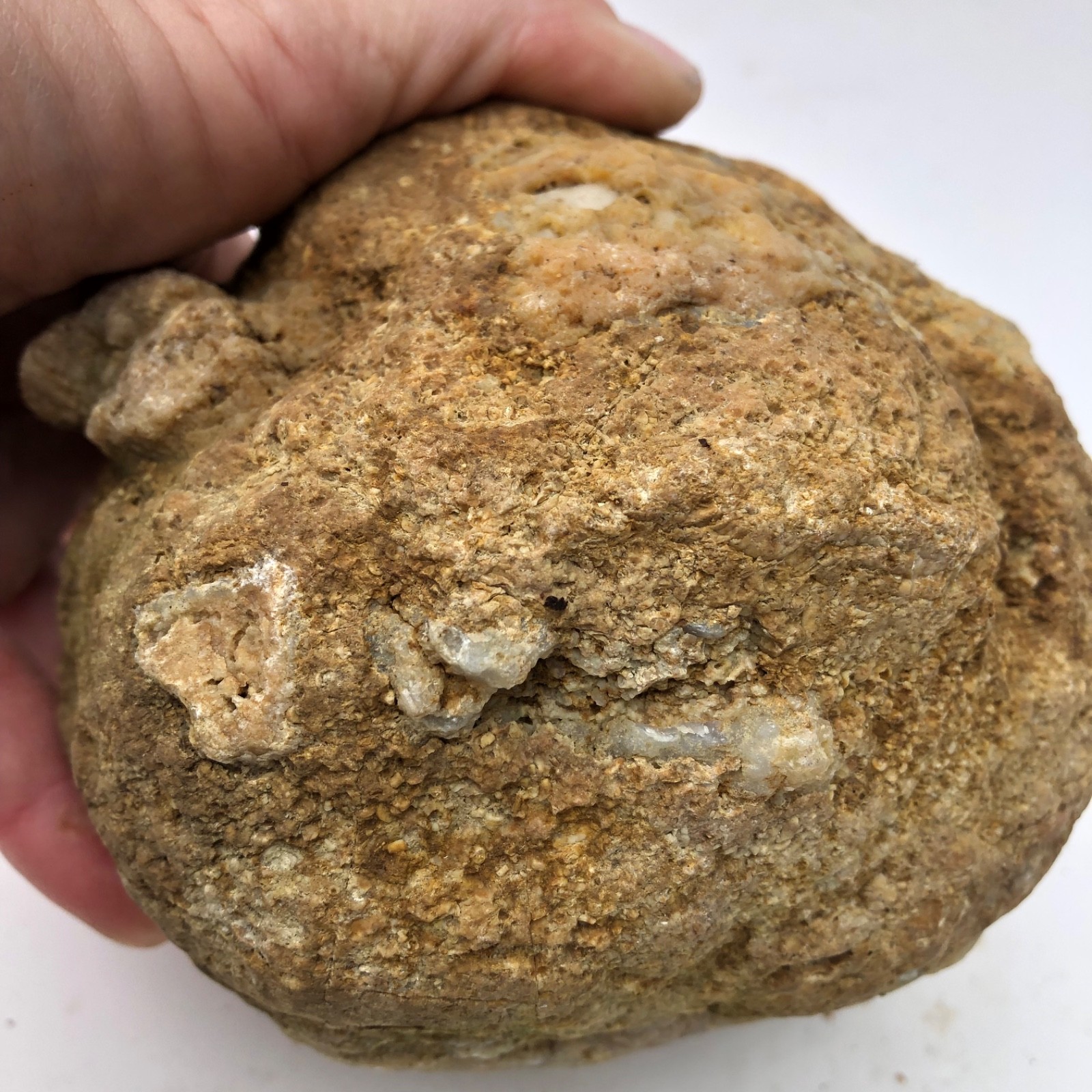 4 lb Unopened Kentucky Geode Rattler Break Your Own Hand Picked Natural Quartz
