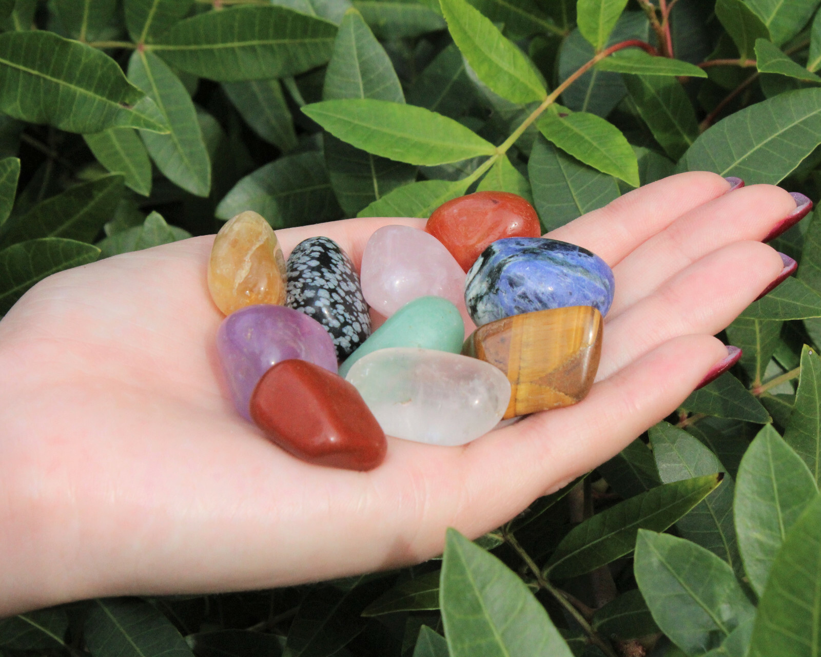 Beginners Crystal Kit, 10 pcs In Velvet Pouch – Most Popular Tumbled Crystals
