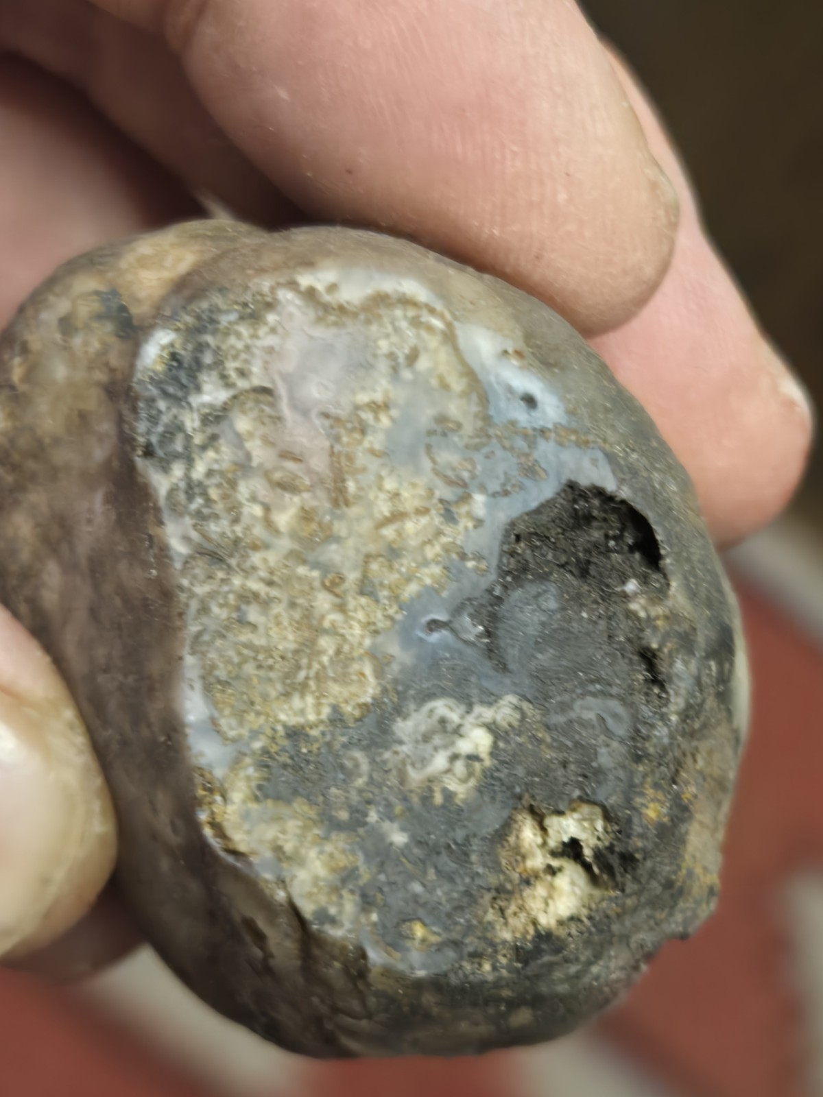 Mulligan Peak Agate 2.7. Vibrant Purple Banding Cut Not Polished