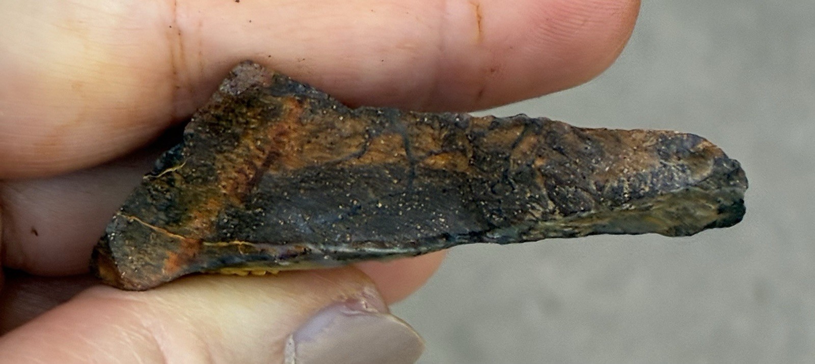 Beautiful 89ct Large Australian Boulder Opal Rough Loose Multicolor Specimen J