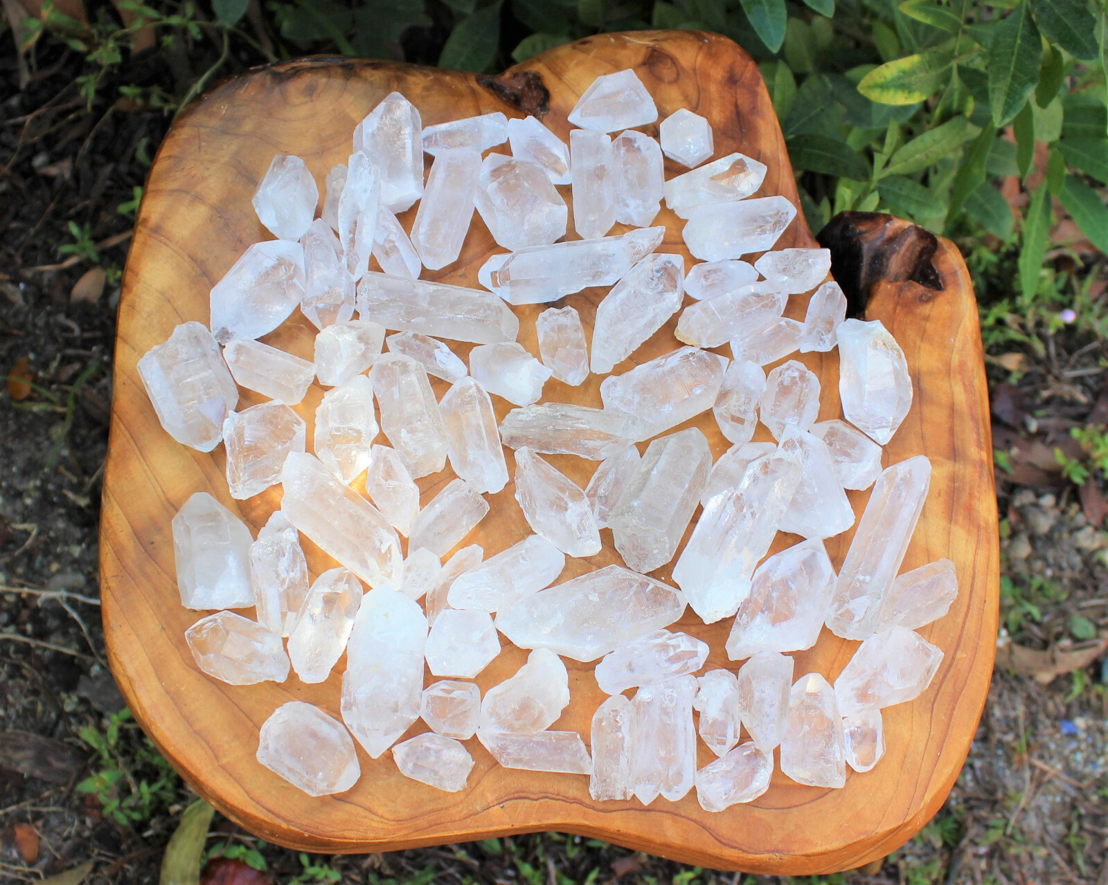 Lot of 3 LARGE Clear Quartz Point Crystals: 1″ – 1.5″ Crystal Points (US Seller)