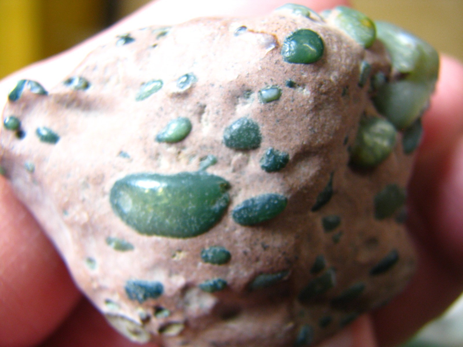 OVER 50 GREEN JADE PIECES IN BROWN MATRIX 46g 1.88×1.3×1.1in JIANGSU CHINA #216