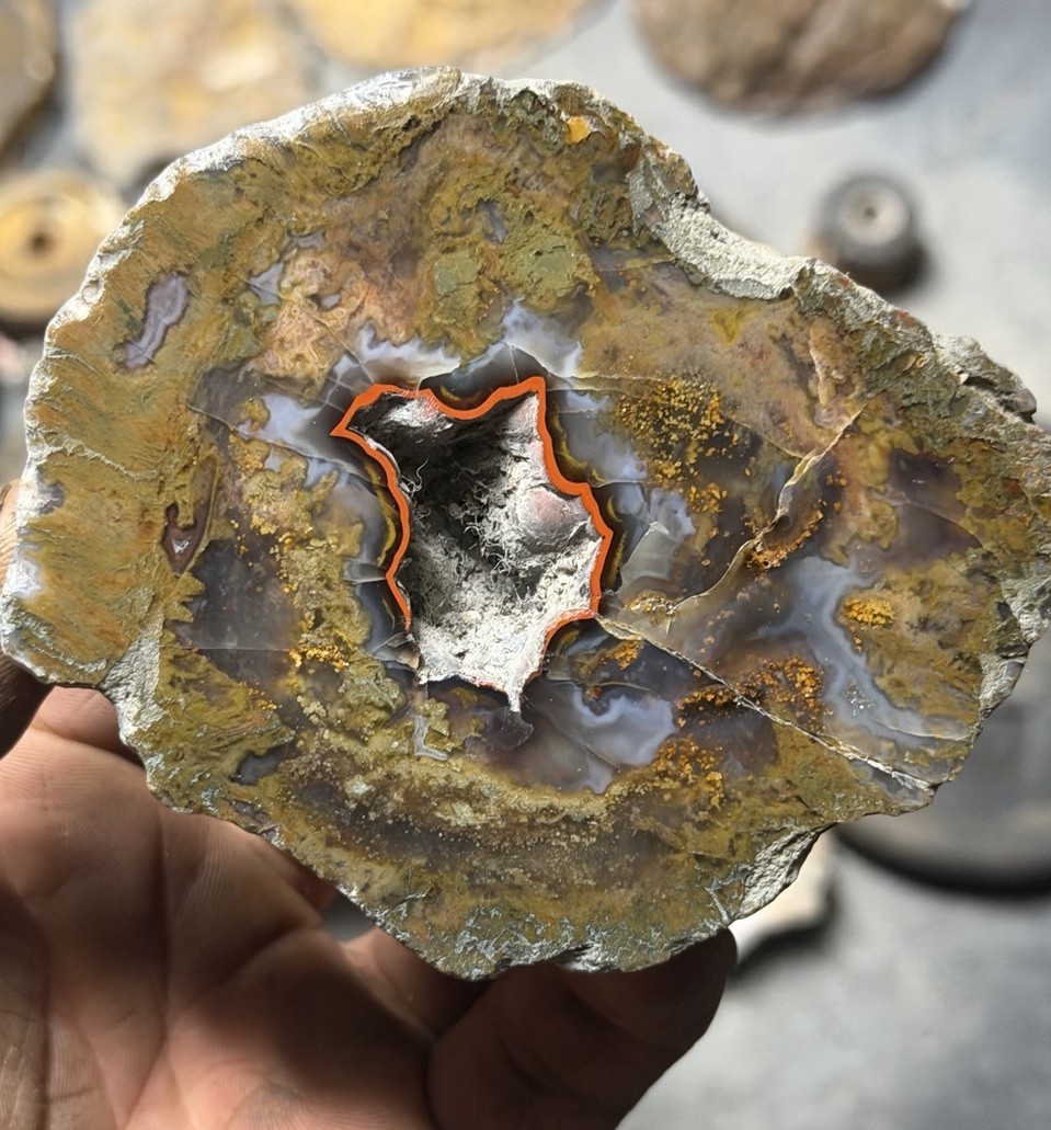 Rare Kentucky Agate Red Yellow Blue | Mirror Polished Half Estill County KY