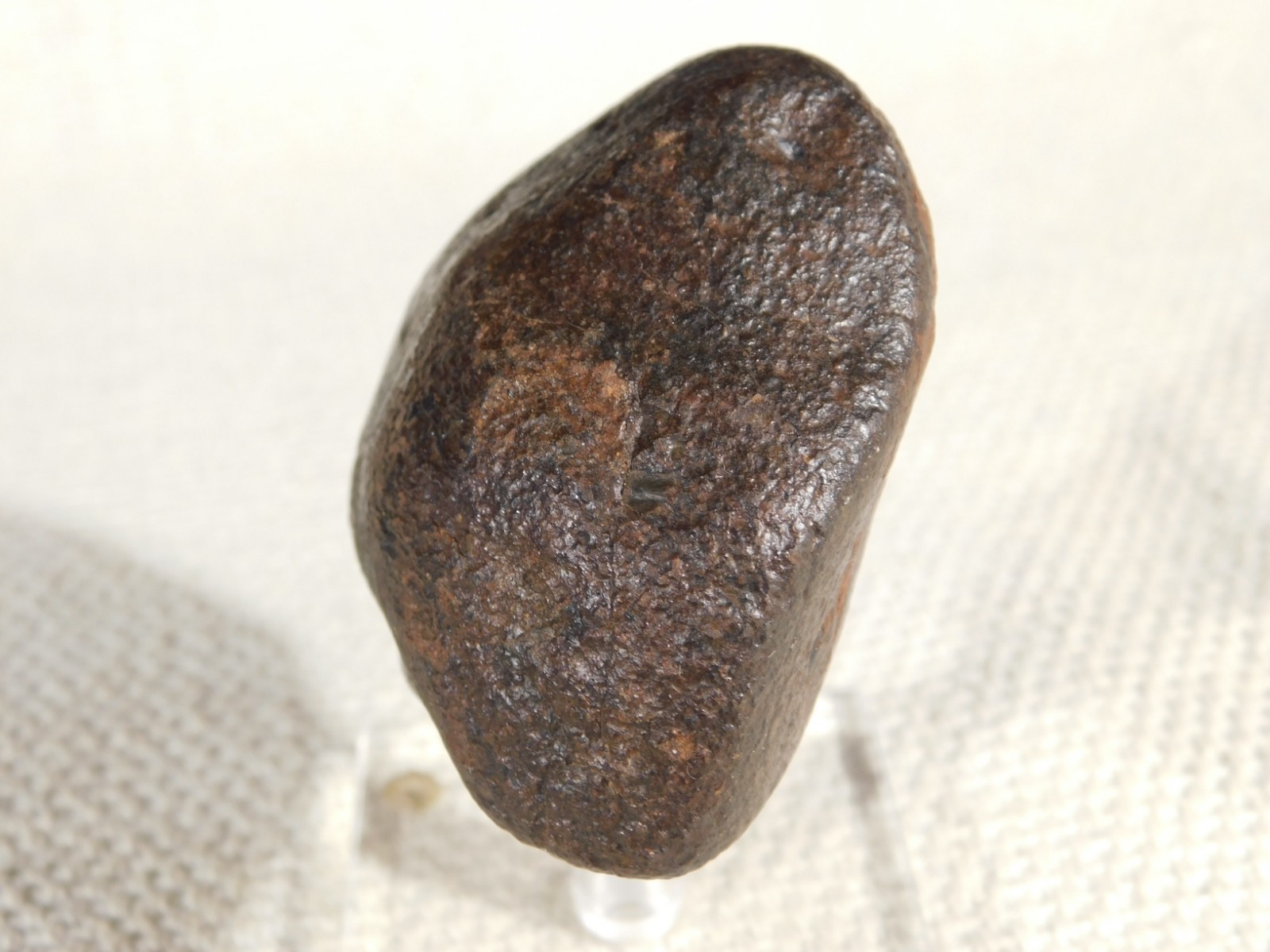 Nice! and 100% Natural Stony METEORITE FELL in Libya 181gr